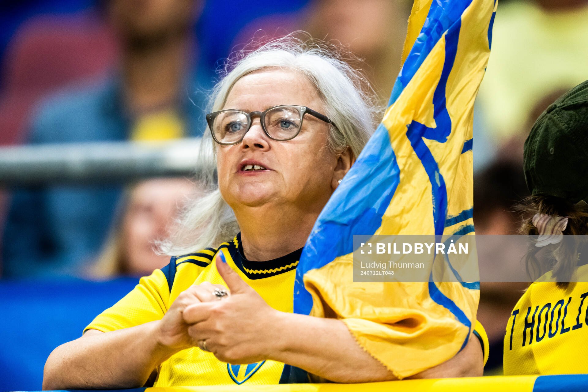 A supporter of Sweden