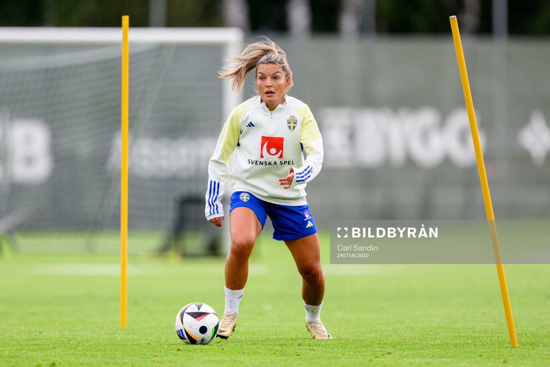 Johanna Rytting Kaneryd