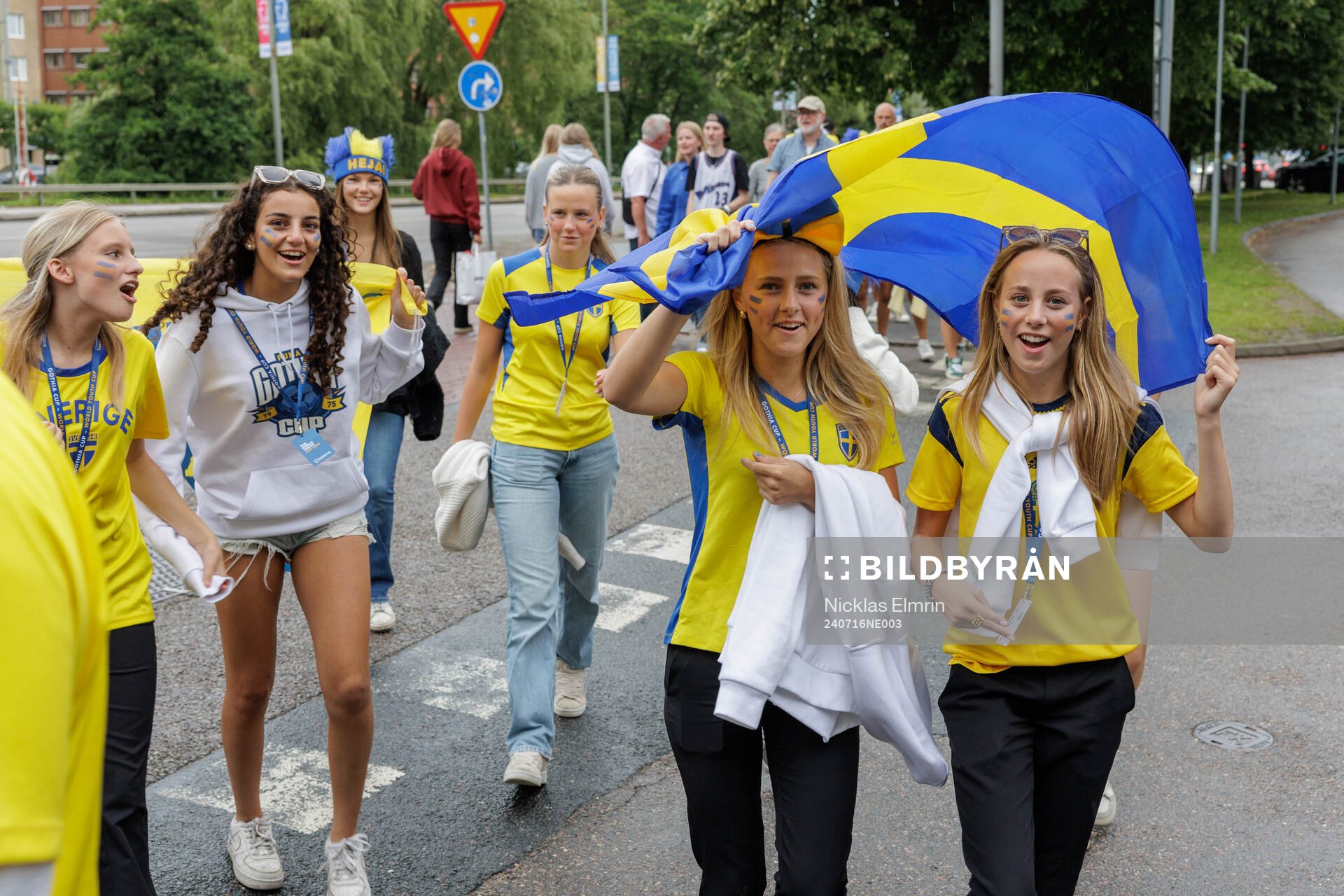 Swedish fans