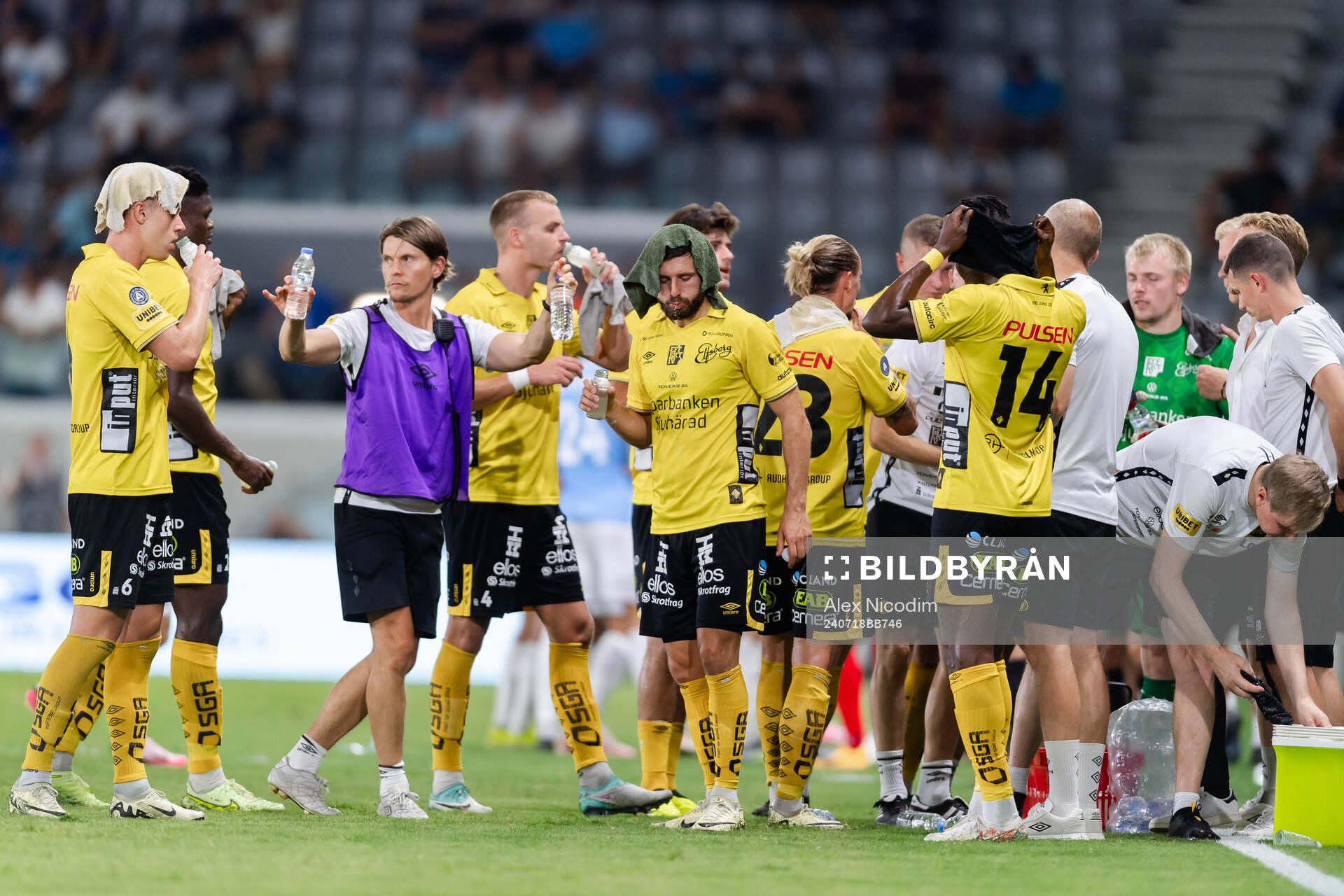 Players of Elfsborg