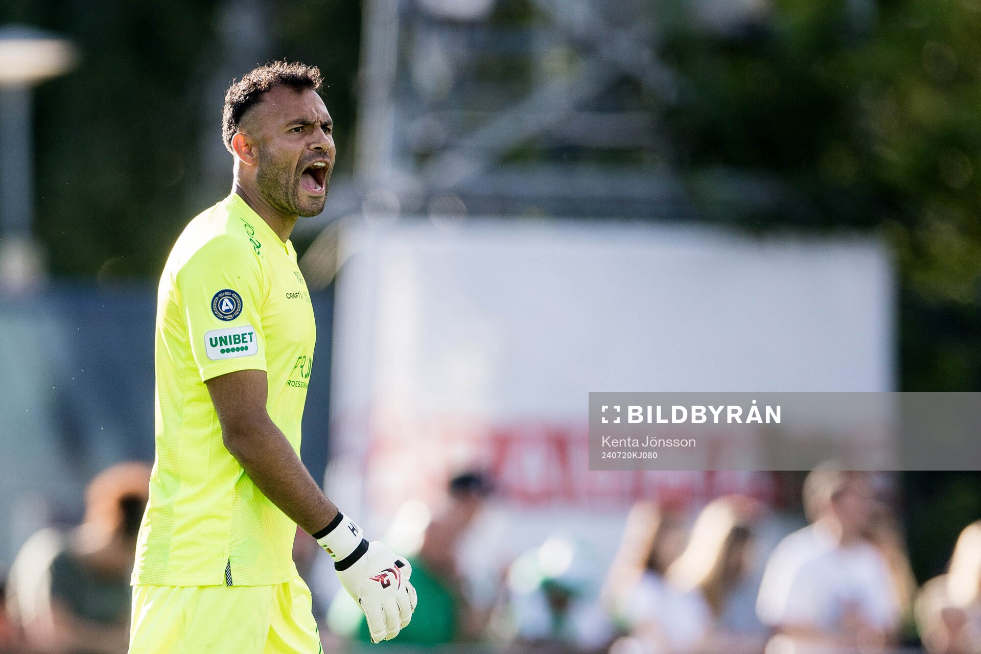 Hammarbys målvakt Warner Hahn