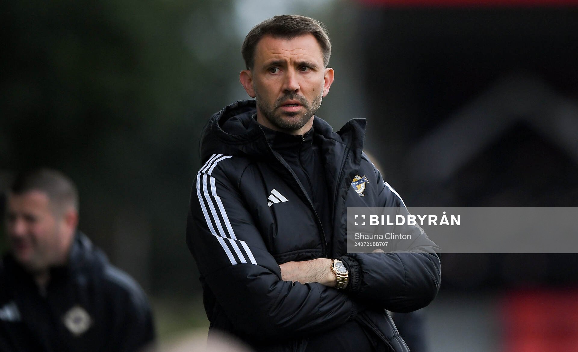 Northern Ireland head coach Gareth McAuley