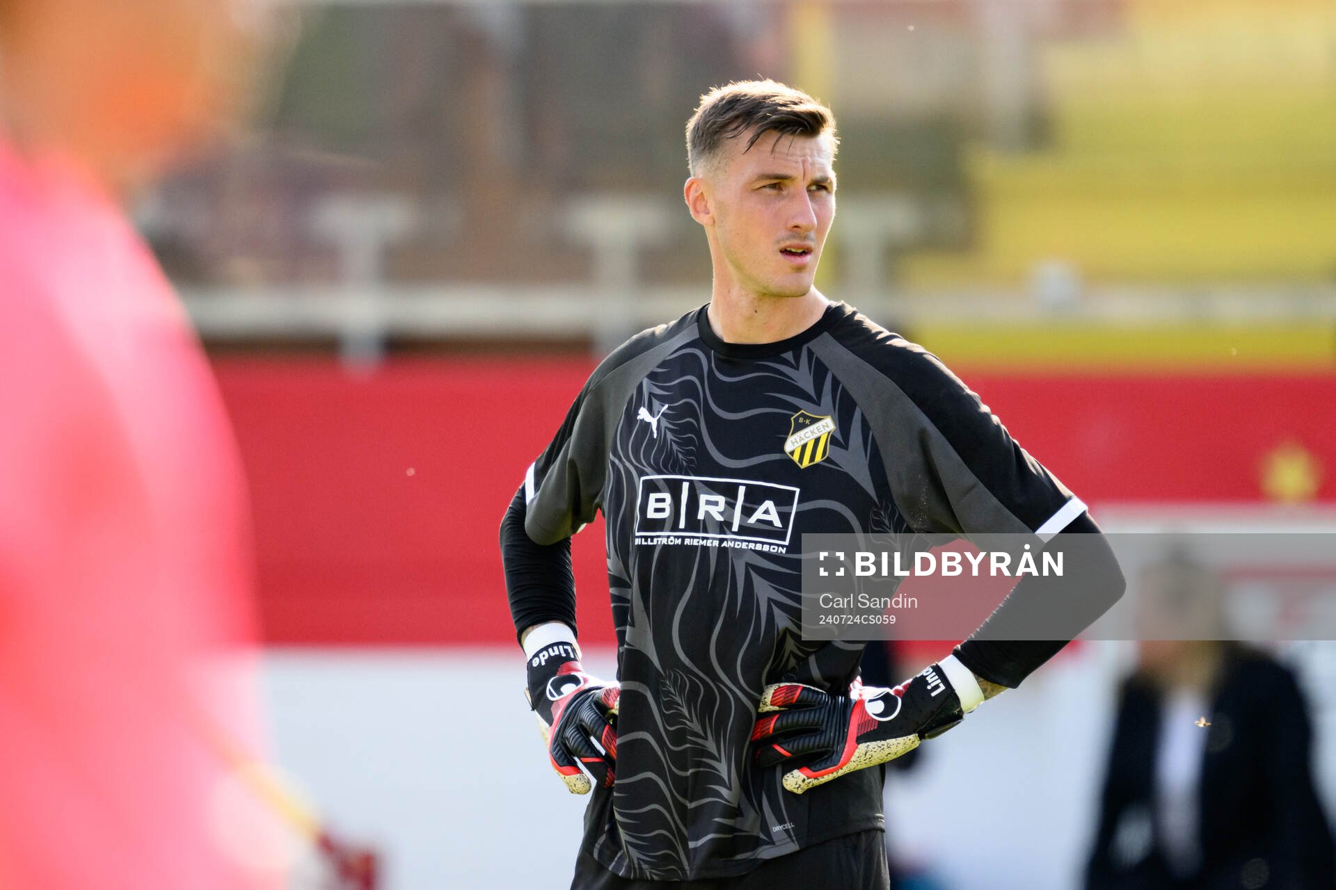 Goalkeeper Andreas Linde