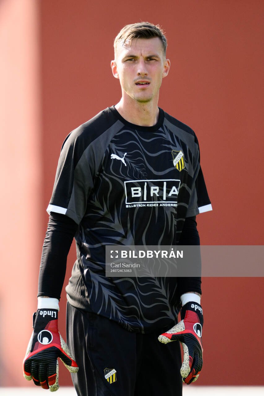 Goalkeeper Andreas Linde