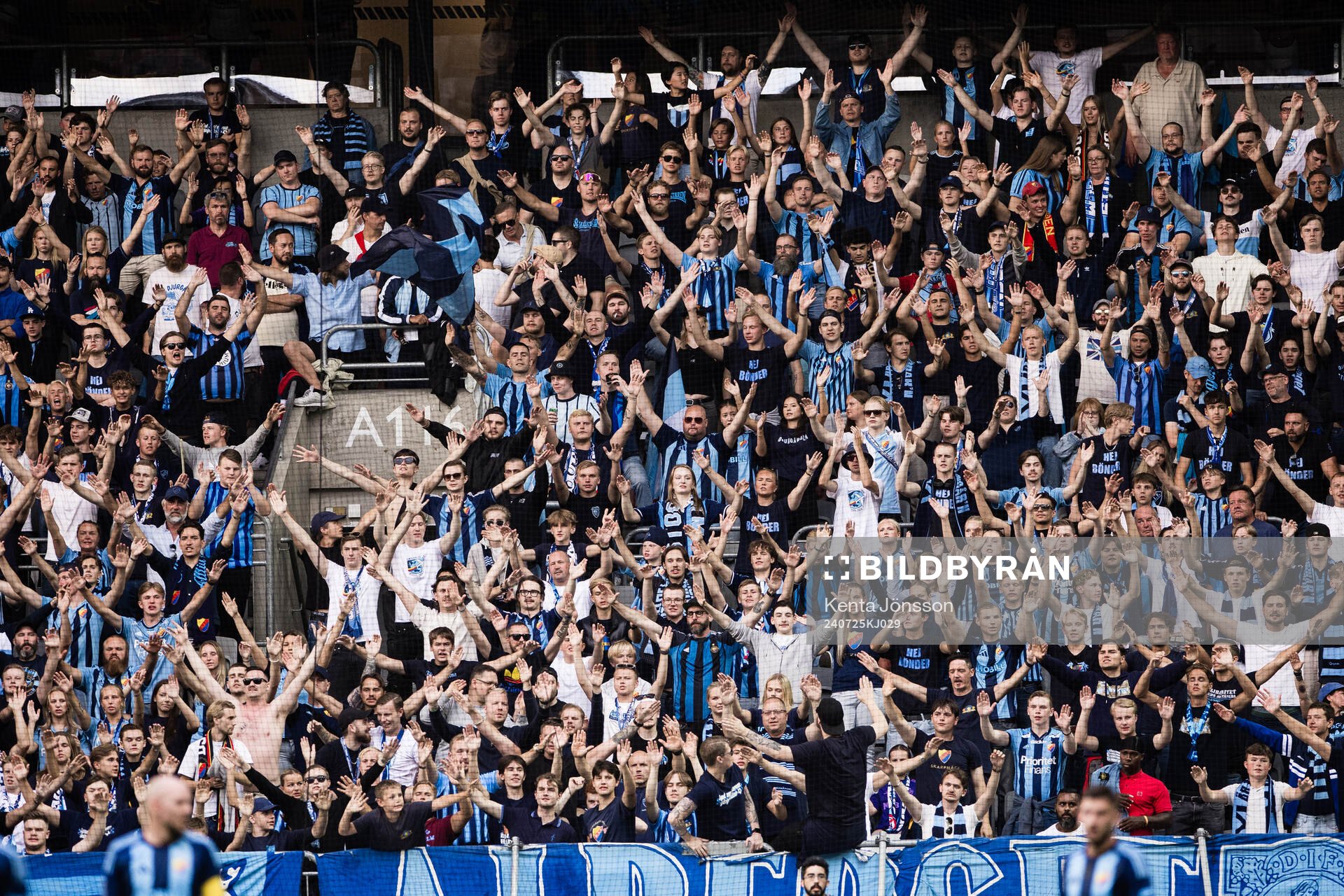 Fans of Djurgården