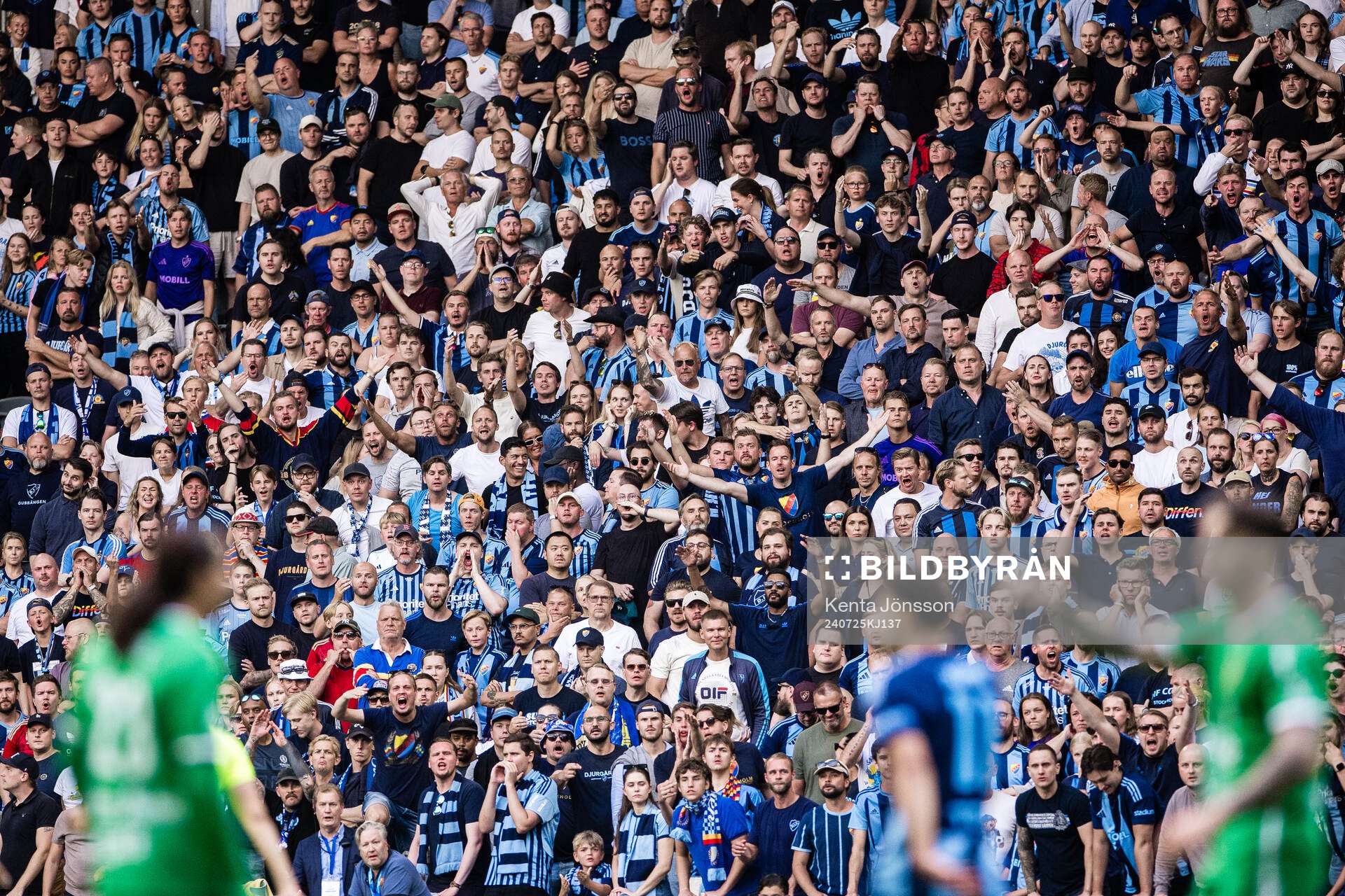 Fans of Djurgården