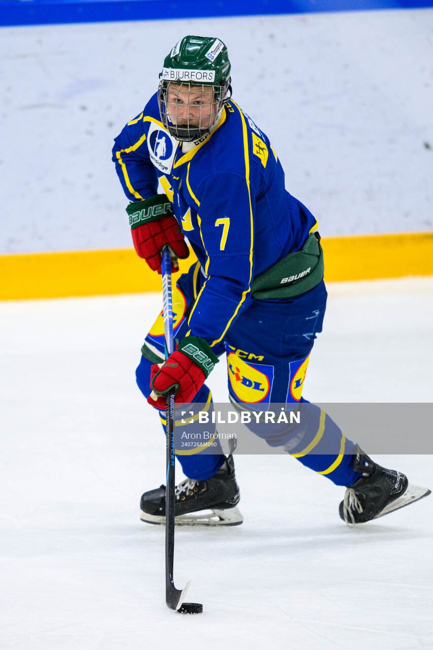 Hjalmar Cilthe of Sweden
