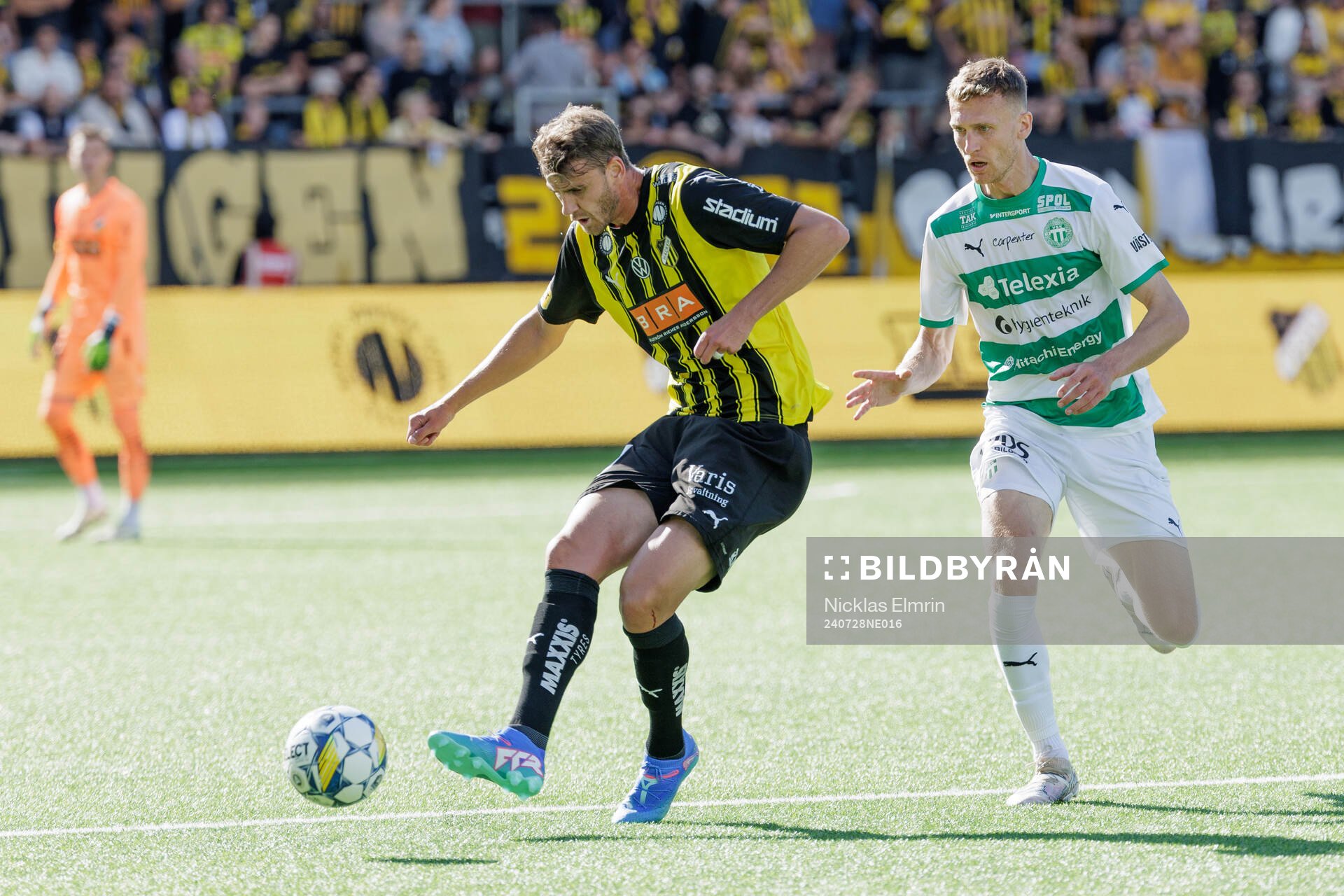 Häckens Johan Hammar