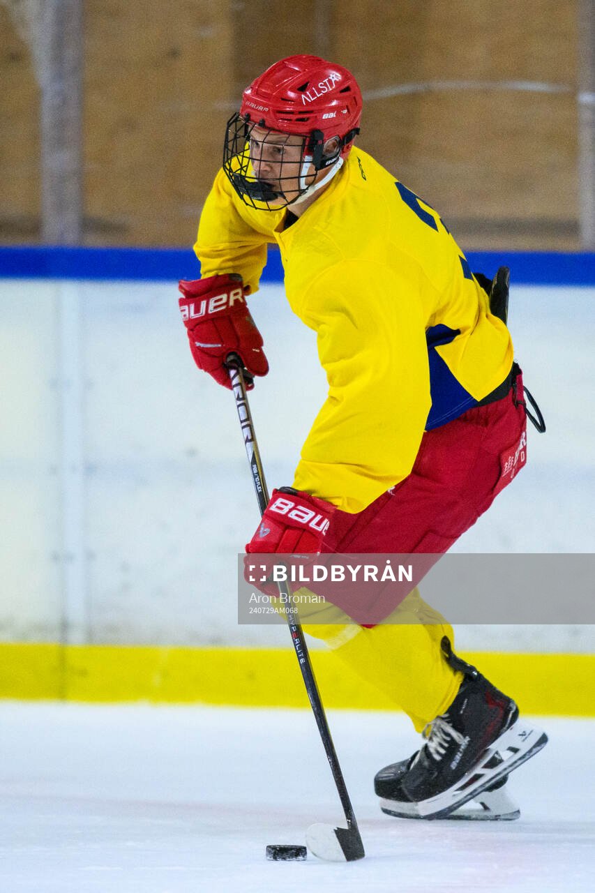 Hugo Hallin of Sweden