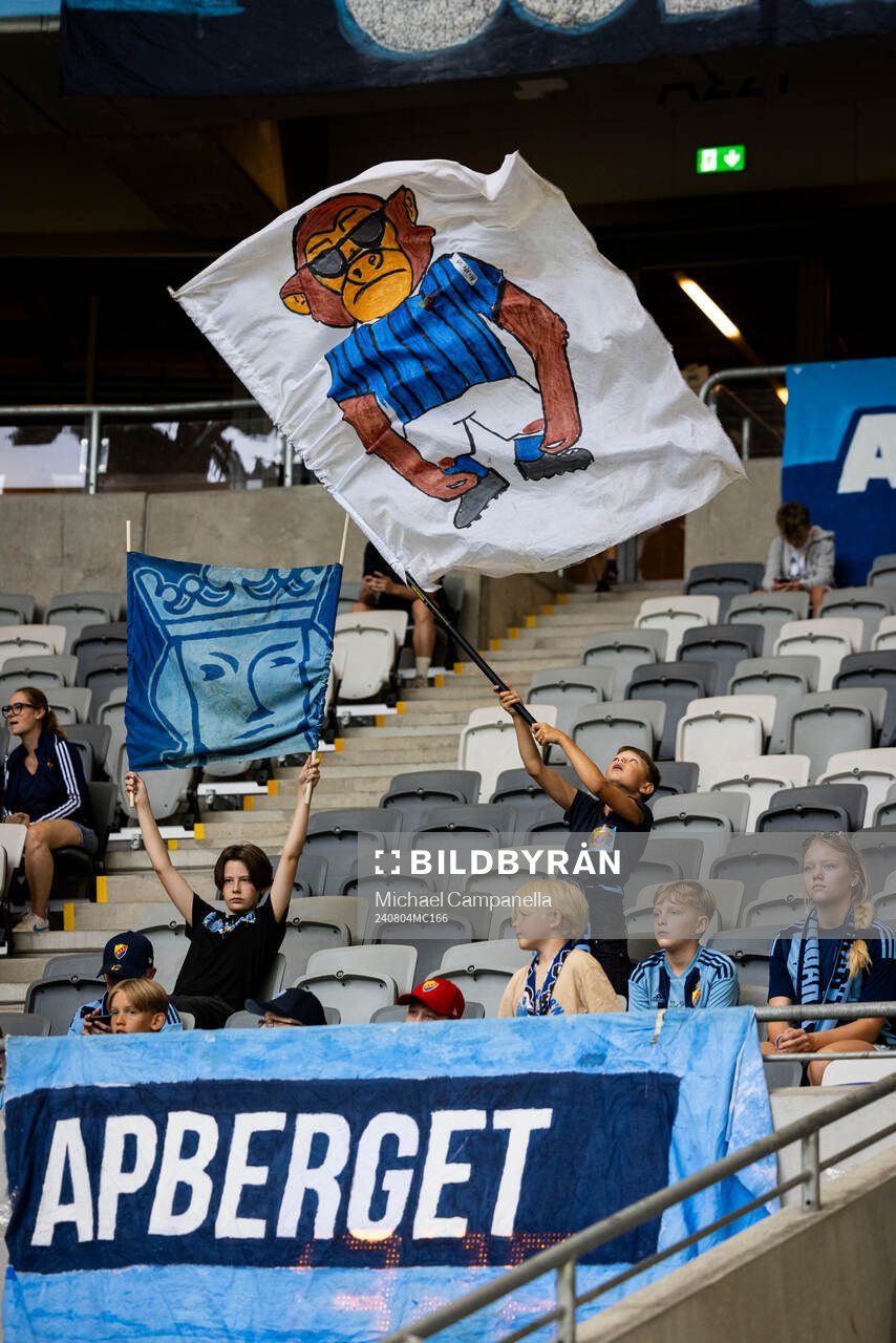 Ung Djurgårdens supportrar med flaggor