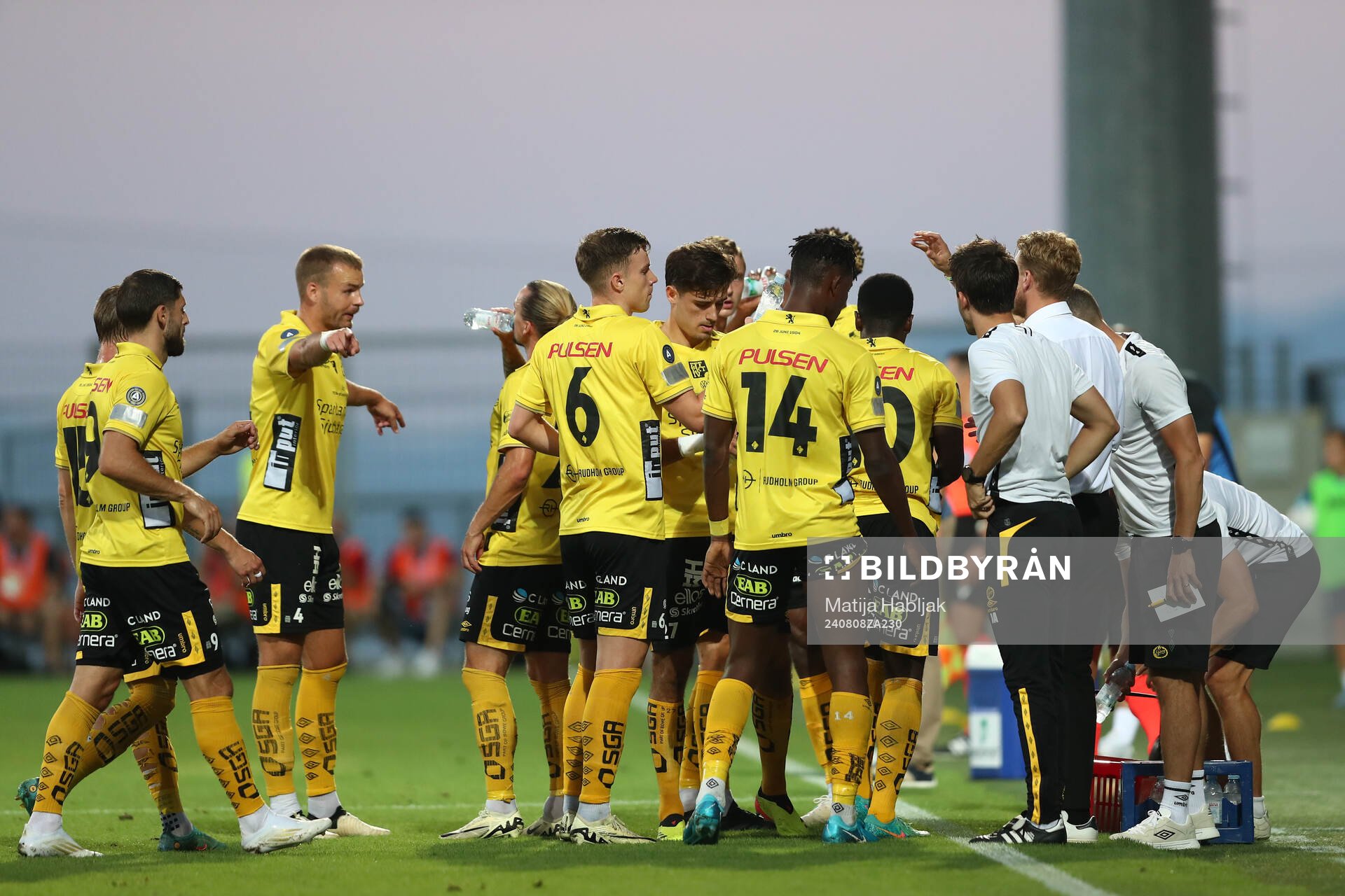 Players of Elfsborg