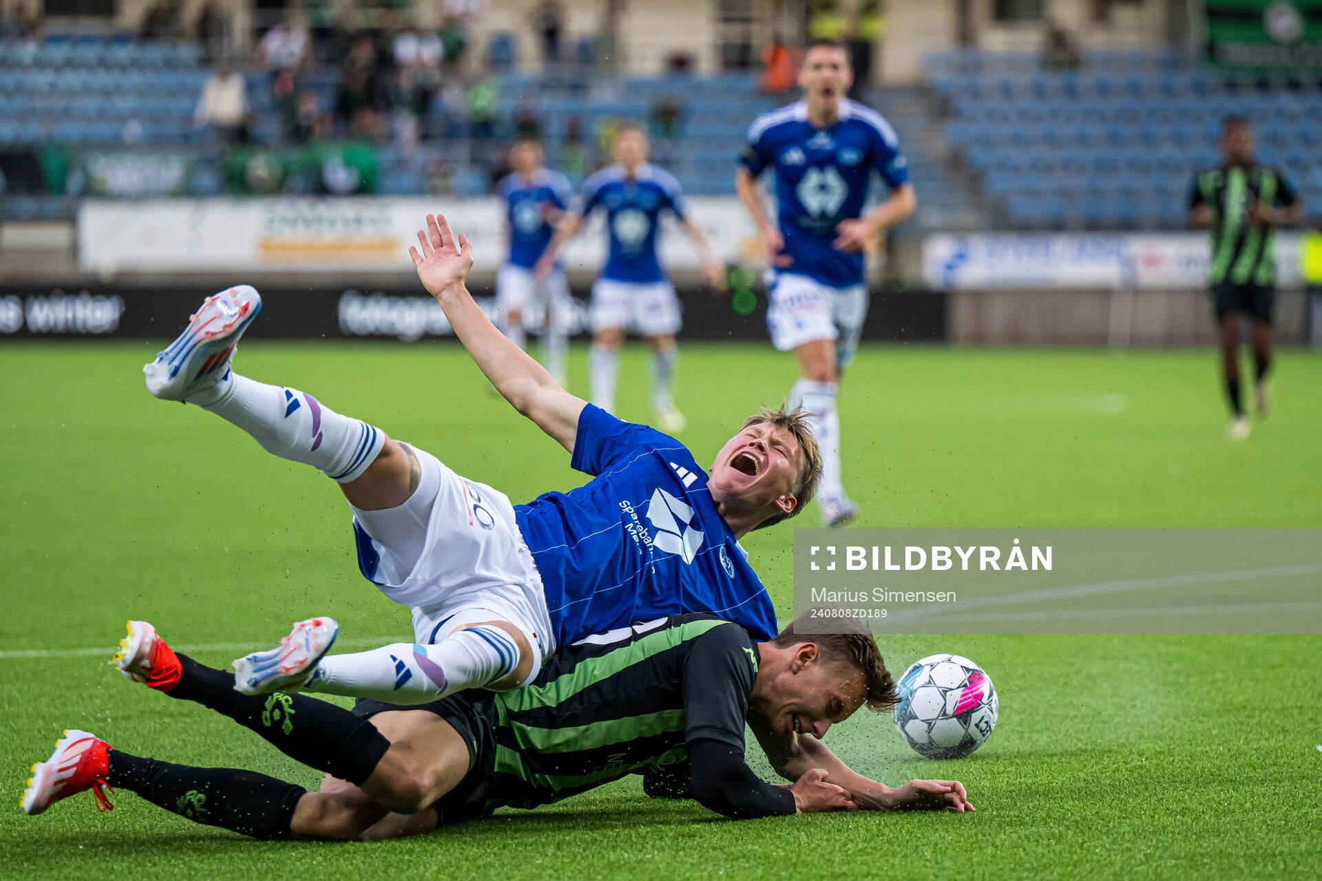 Halldor Stenevik of Molde