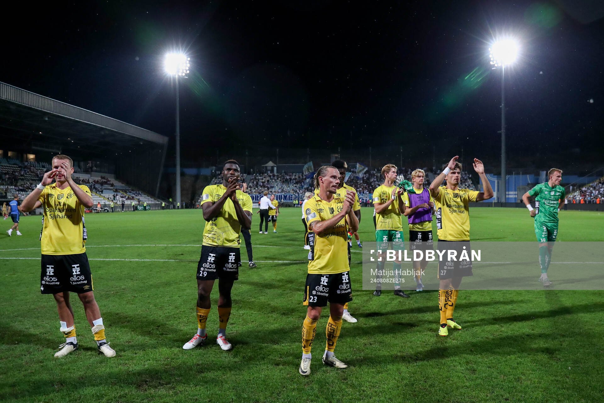 Players of Elfsborg