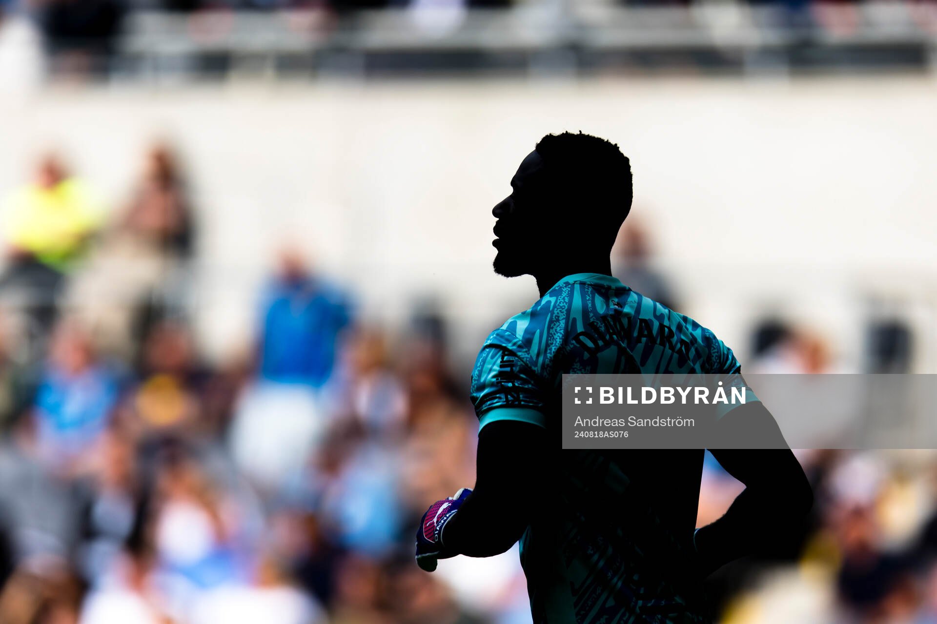 AIKs målvakt Ismael Diawara