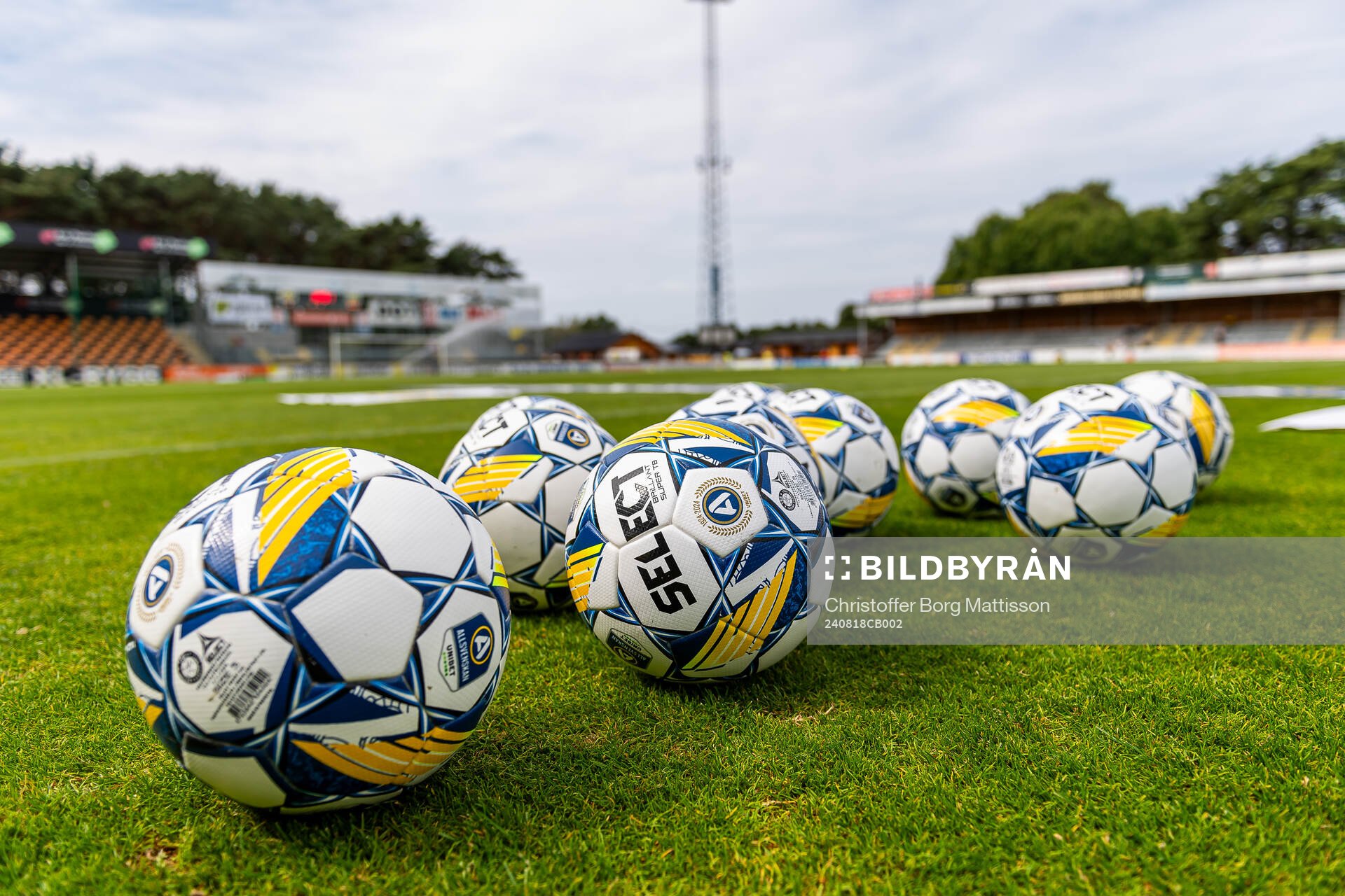 Fotbollar på gräsmattan