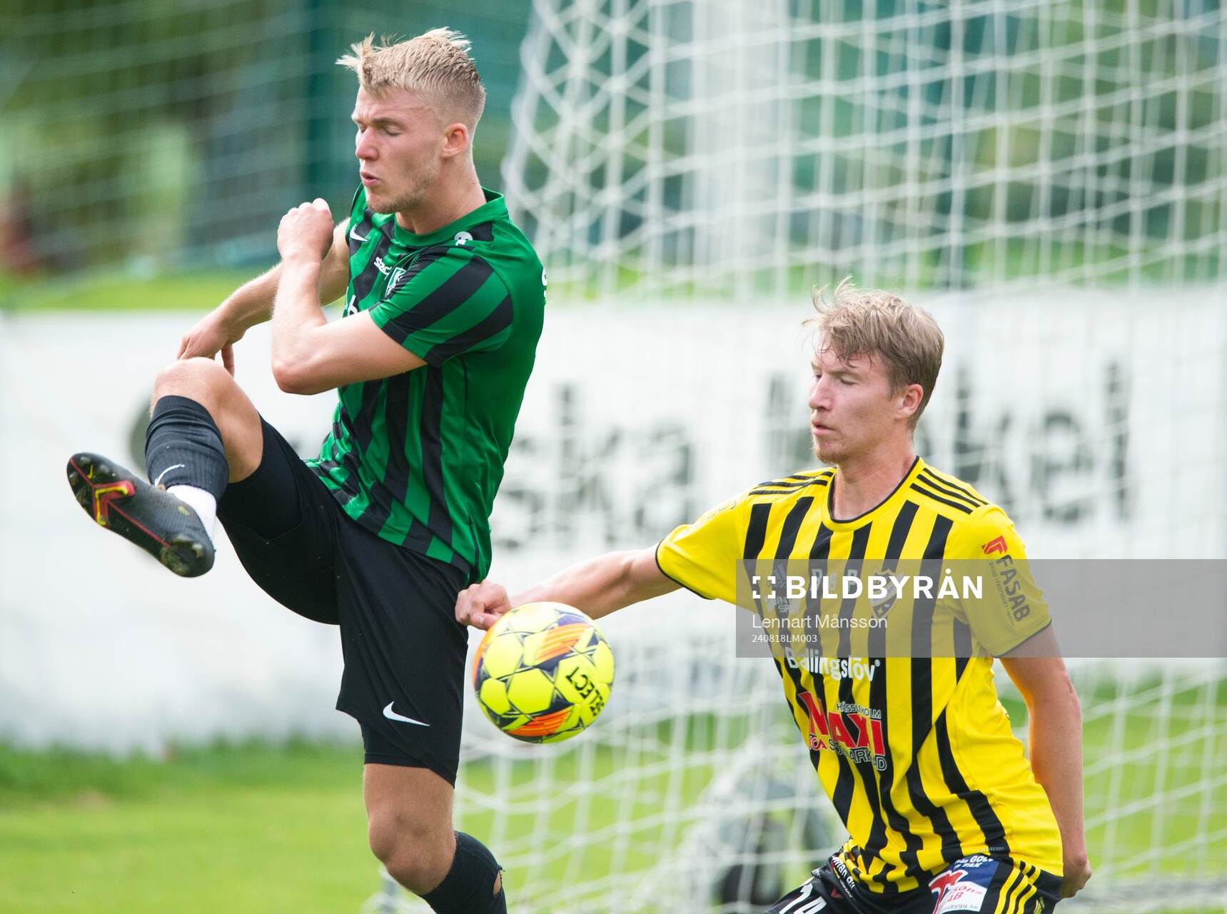 IFK Hässleholms Hugo Arvidsson i matchen i div 2 mellan Högaborgs BK och IFK Hässleholm i Helsingborg 18 augusti 2024.