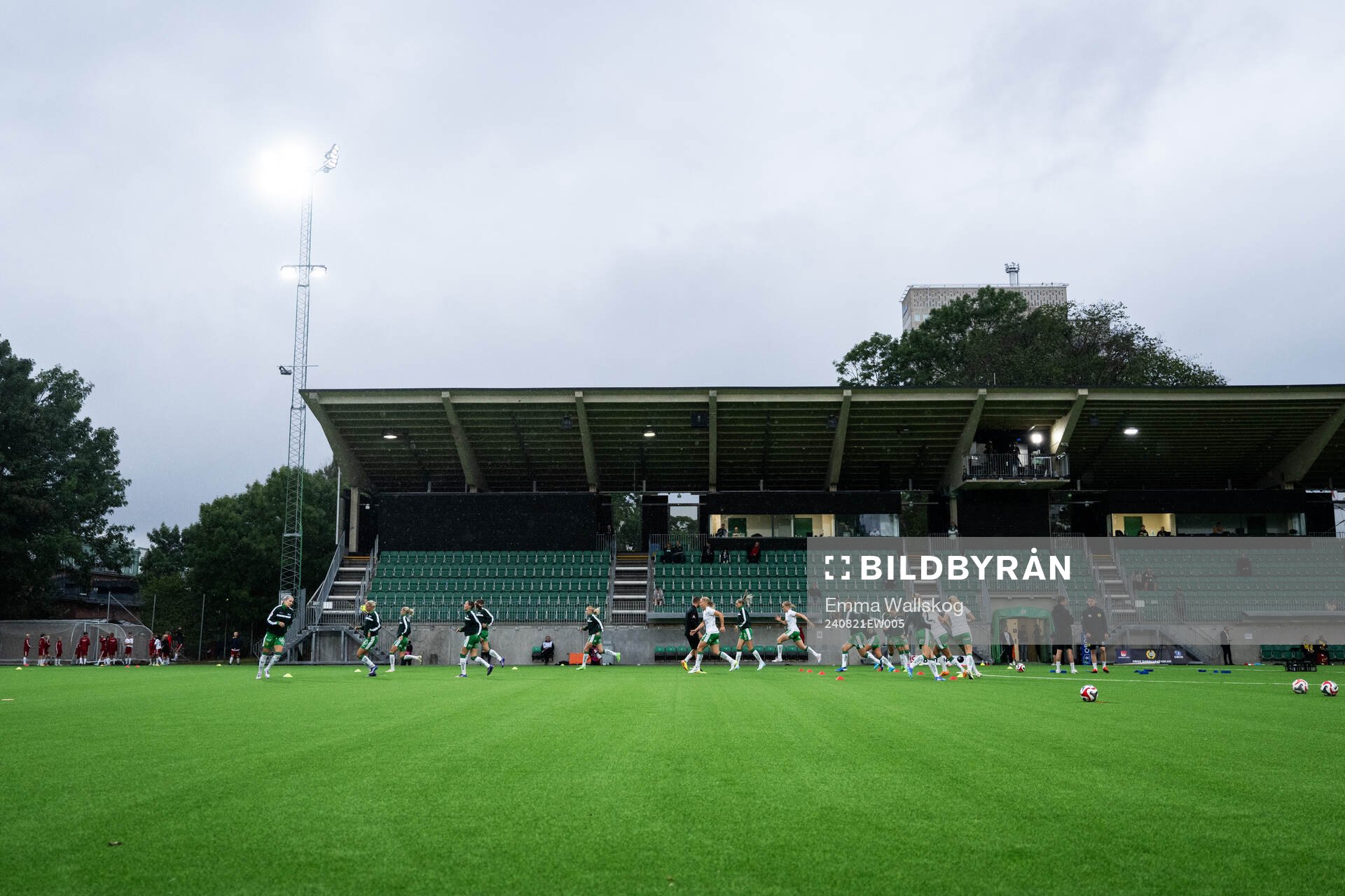 Hammarbys spelare