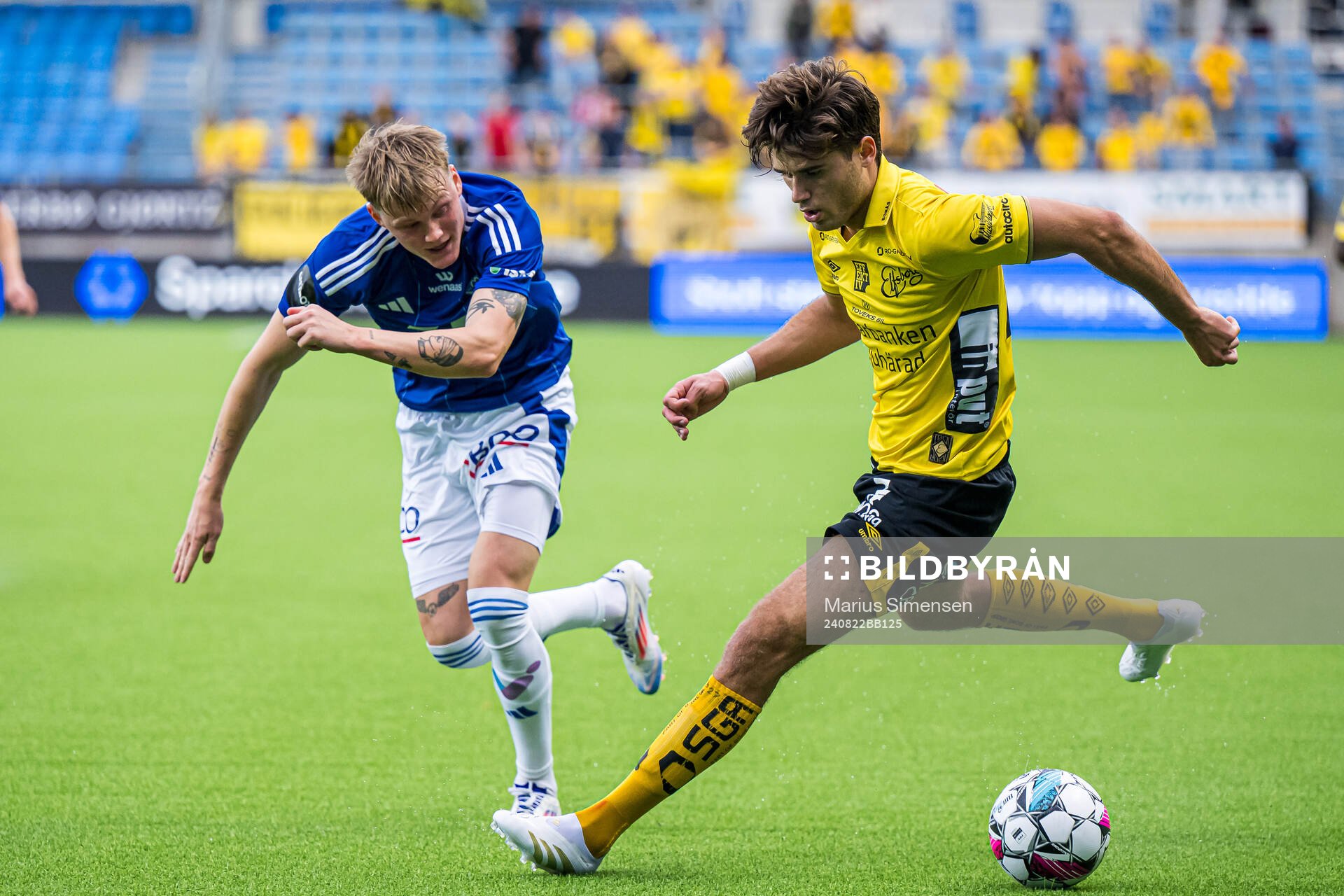 Halldor Stenevik of Molde and Besfort Zeneli of Elfsborg