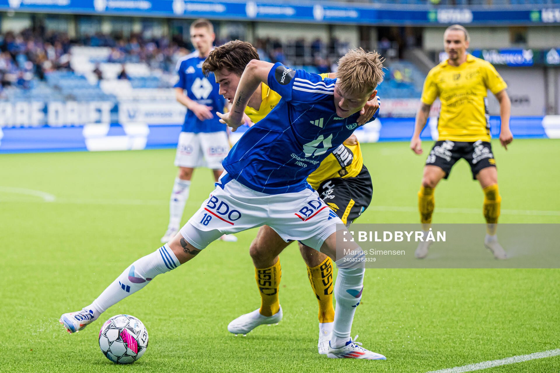 Halldor Stenevik of Molde