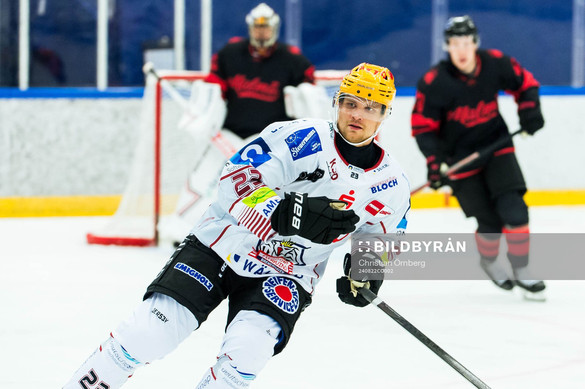 Fischtown Penguins Max Görtz