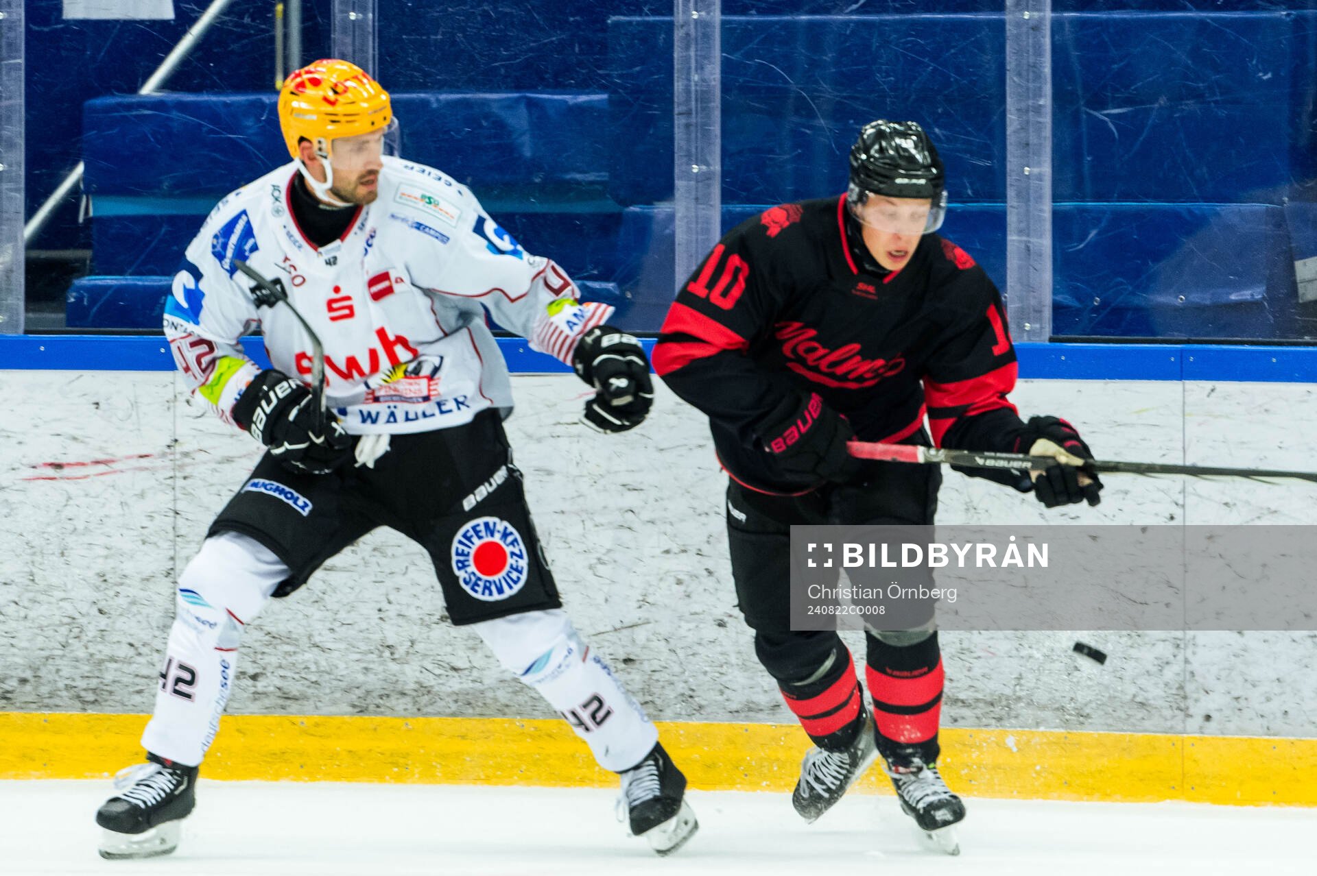 Fischtown Penguins Matthew Abt och Malmö Redhawks William