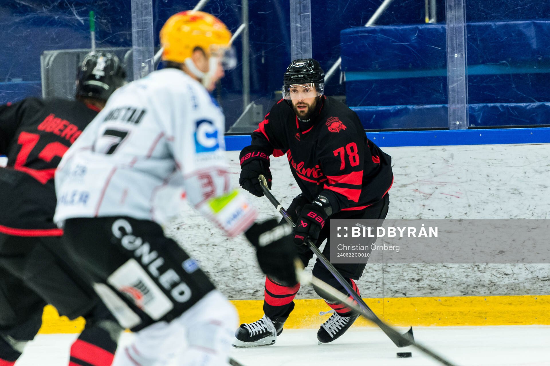 Malmö Redhawks Robin Hanzl