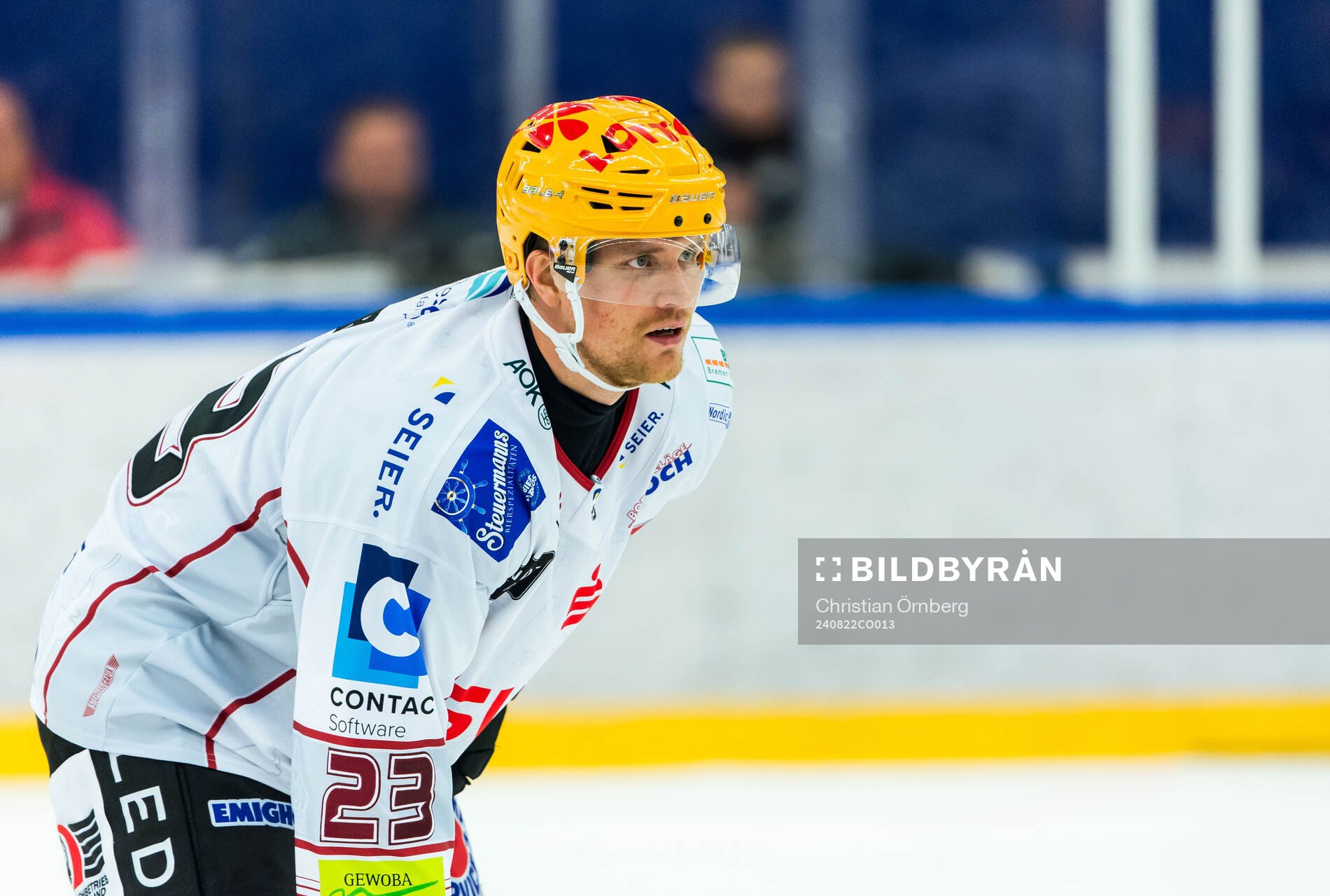 Fischtown Penguins Max Görtz