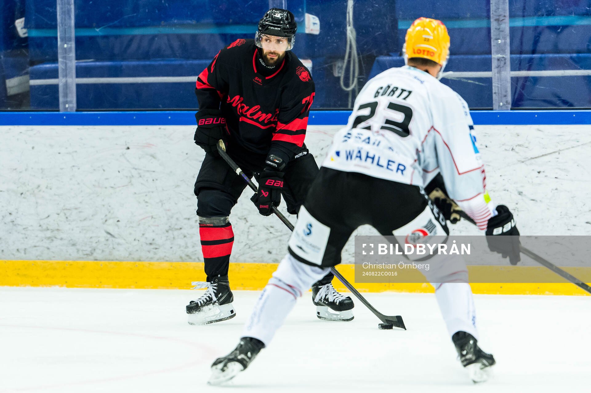 Malmö Redhawks Robin Hanzl och Fischtown Penguins Max