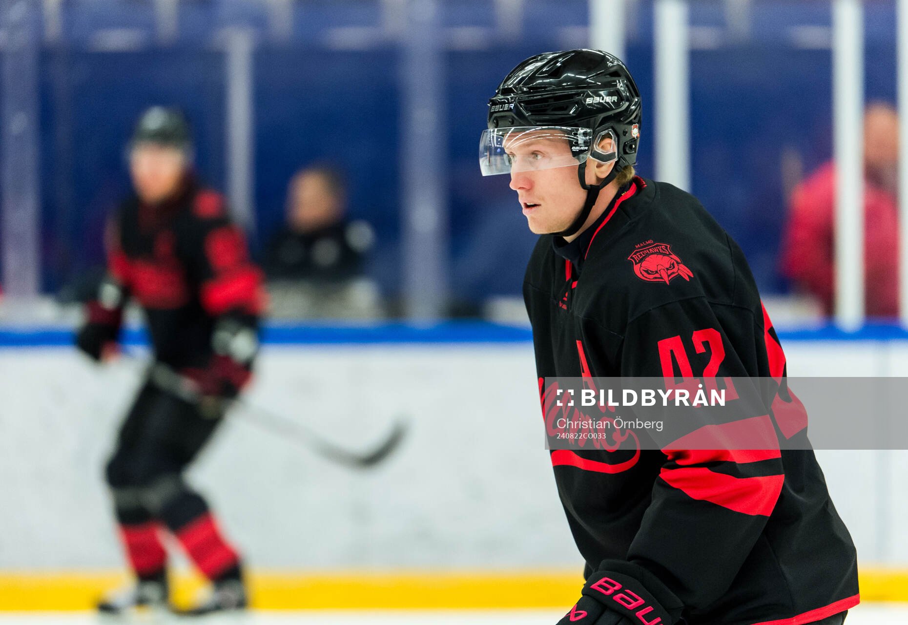 Malmö Redhawks Robin Salo