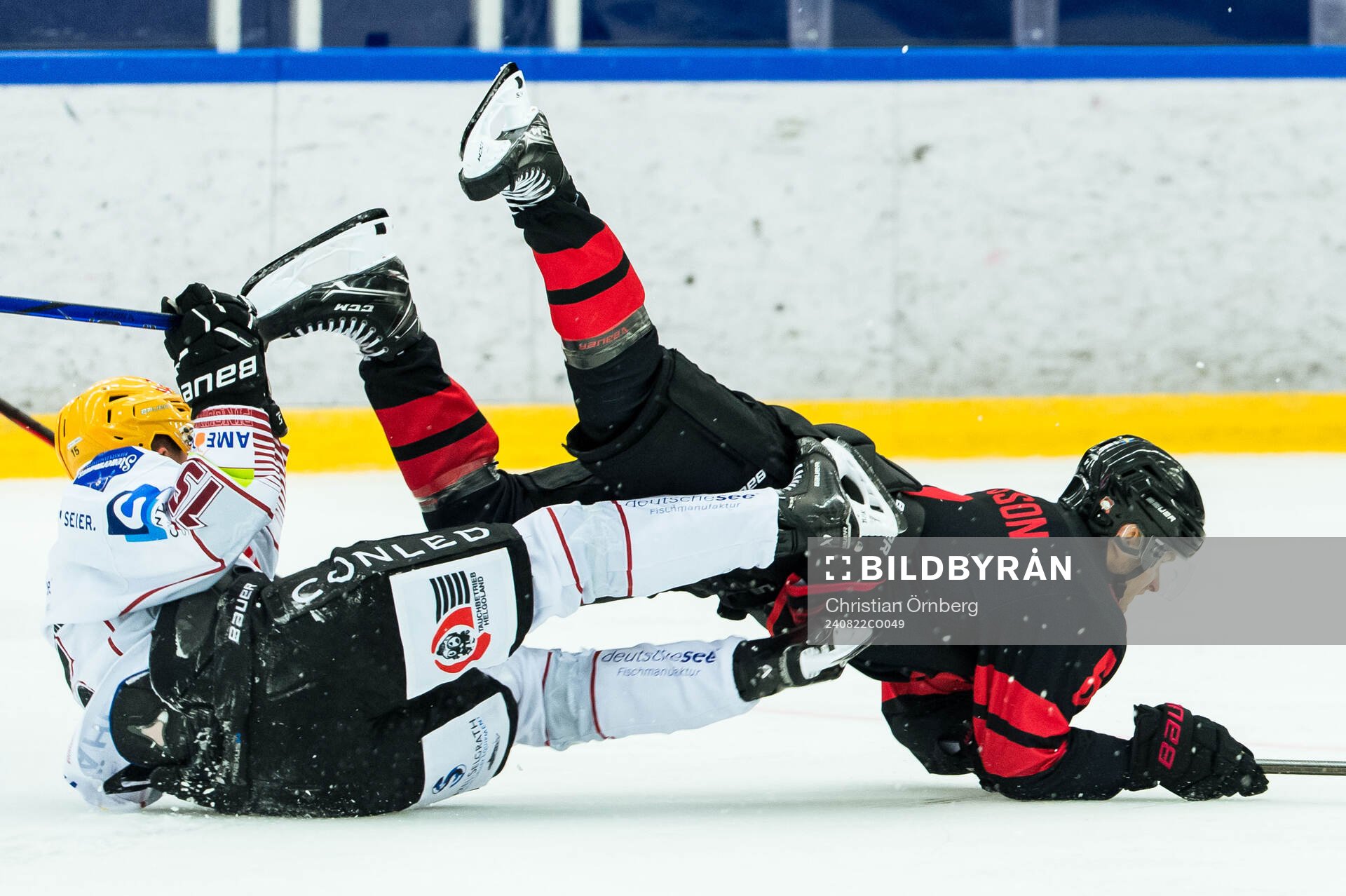 Fischtown Penguins Rayan Bettahar och Malmö Redhawks Johan