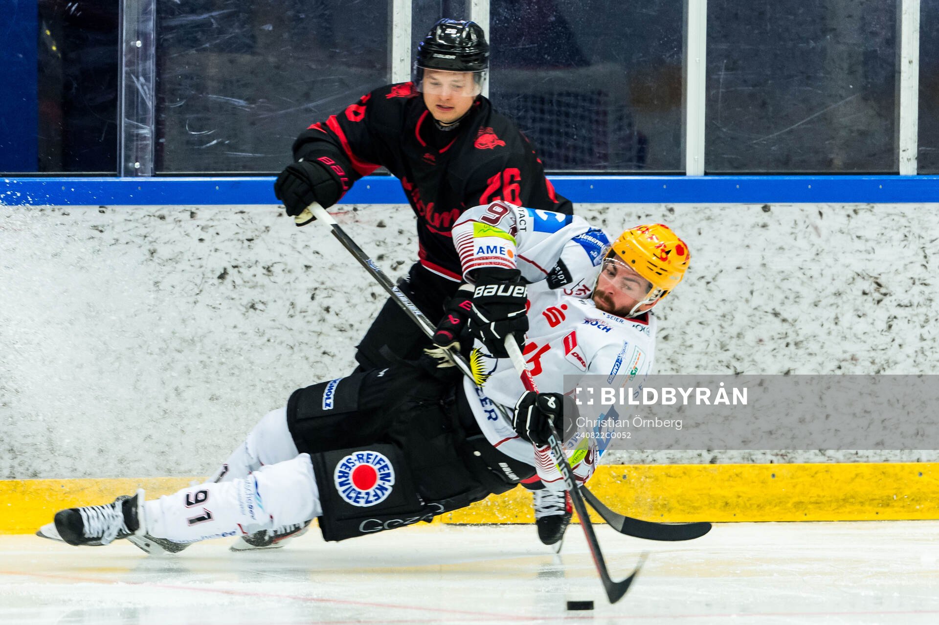 Fischtown Penguins Jan Urbas och Malmö Redhawks Teemu