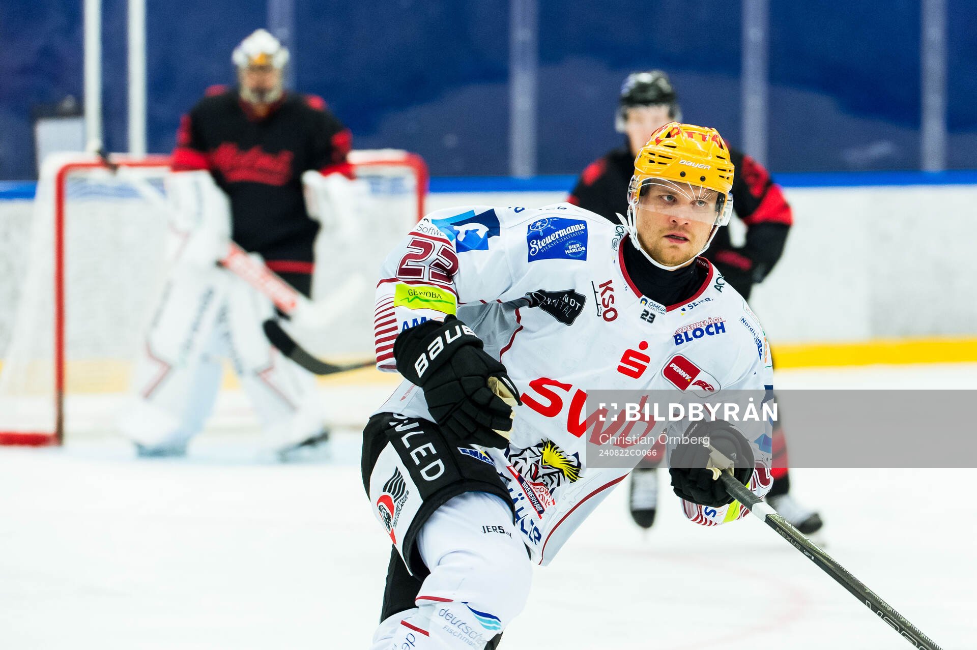 Fischtown Penguins Max Görtz
