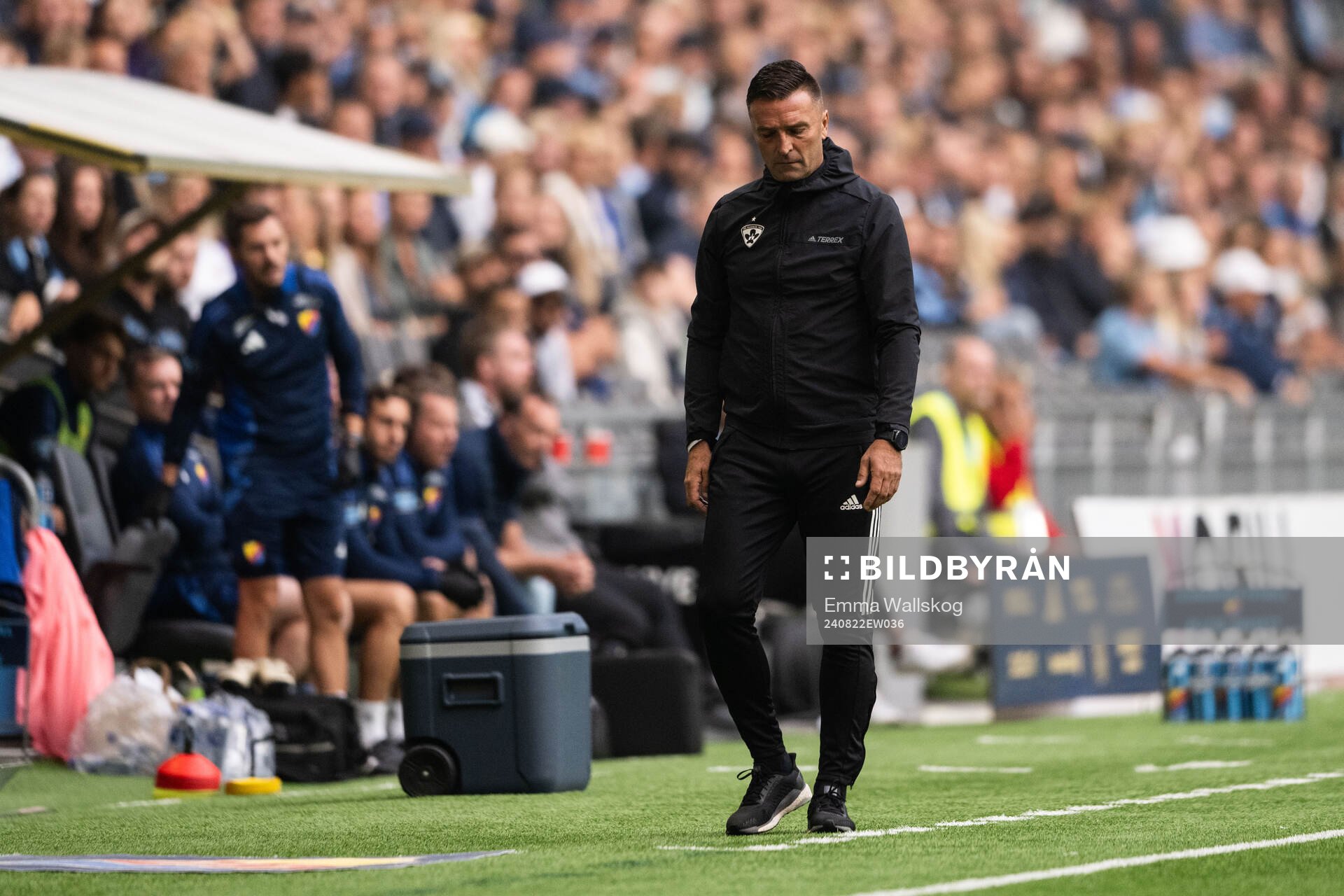 Head coach Damjan Oslaj of Maribor