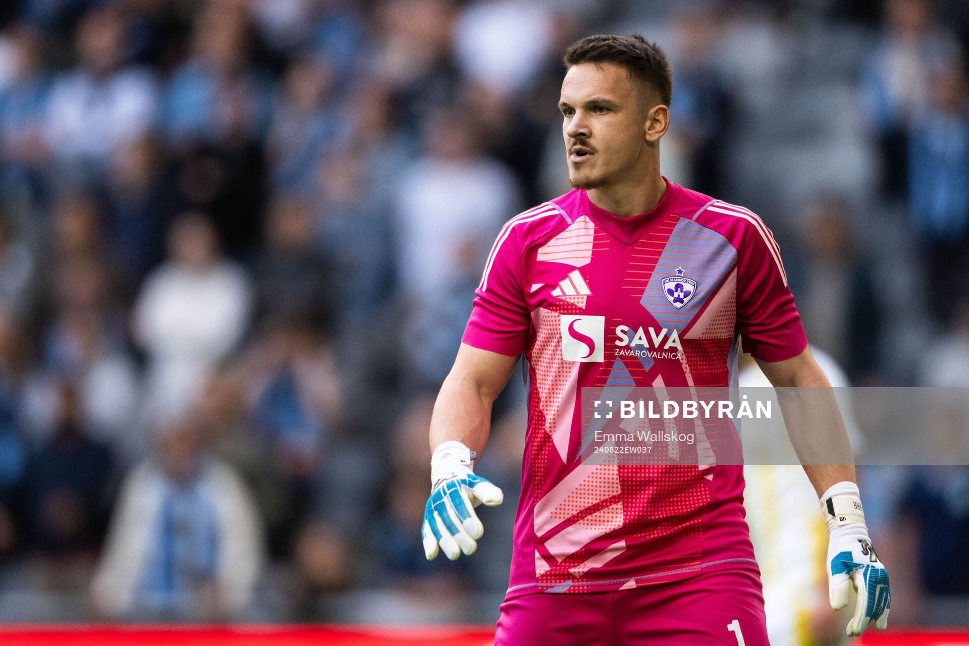 Goalkeeper Ažbe Jug of Maribor