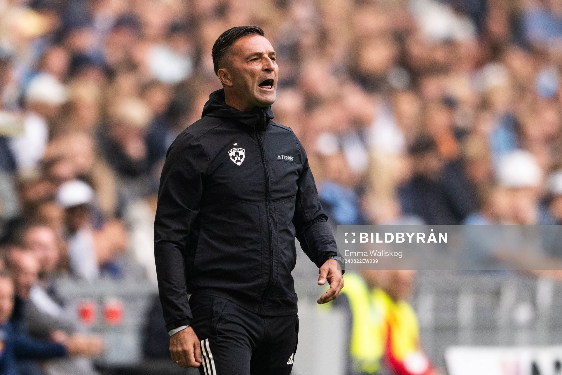 Head coach Damjan Oslaj of Maribor