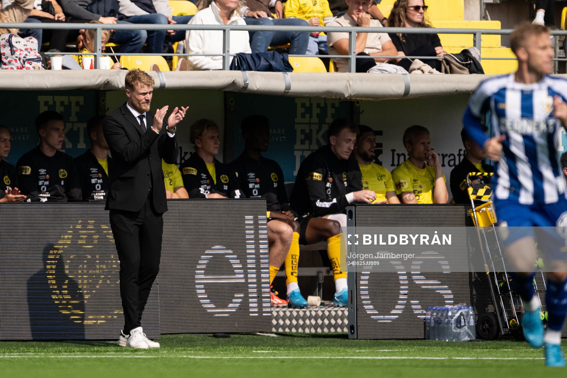 Elfsborgs manager Oscar Hiljemark