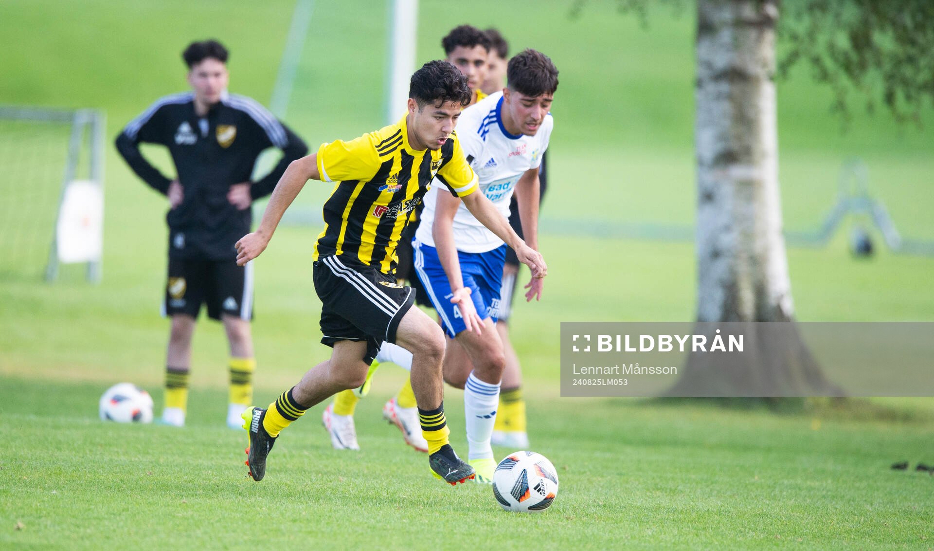 iFK Hässleholms Alireza Nazara i matchen för juniorer,