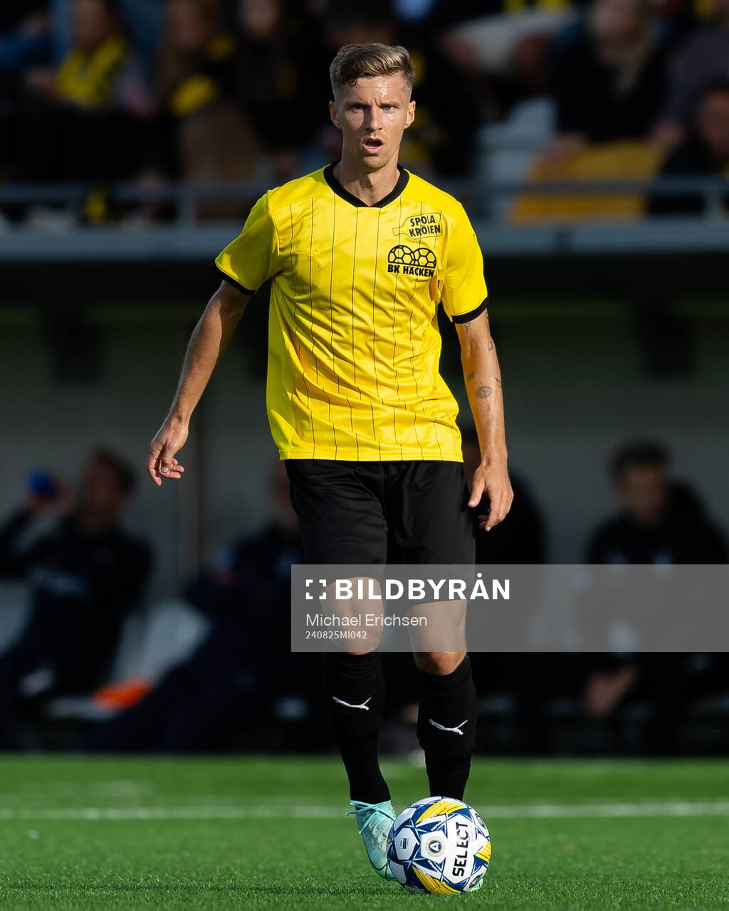 Häckens Samuel Leach Holm