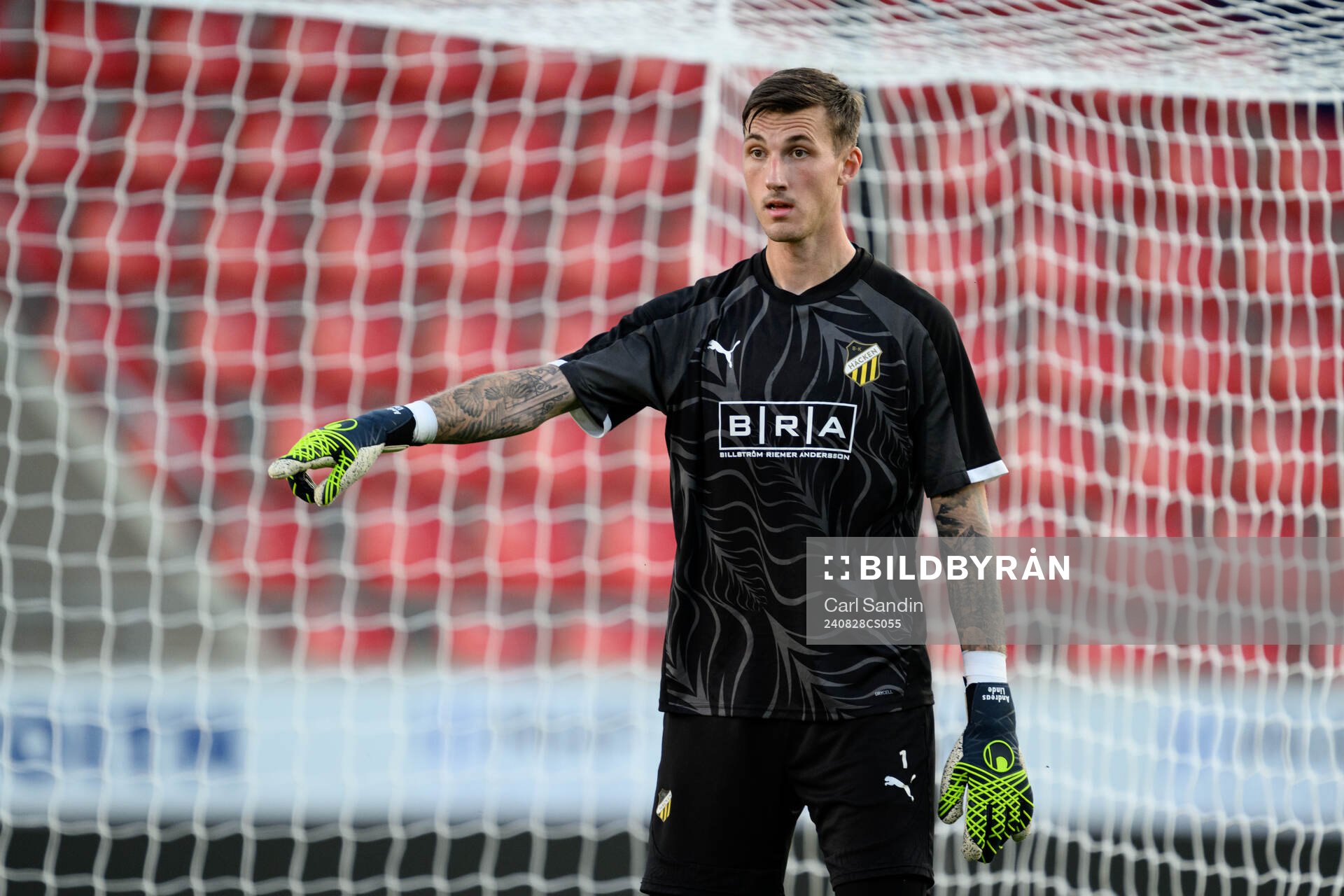 Goalkeeper Andreas Linde