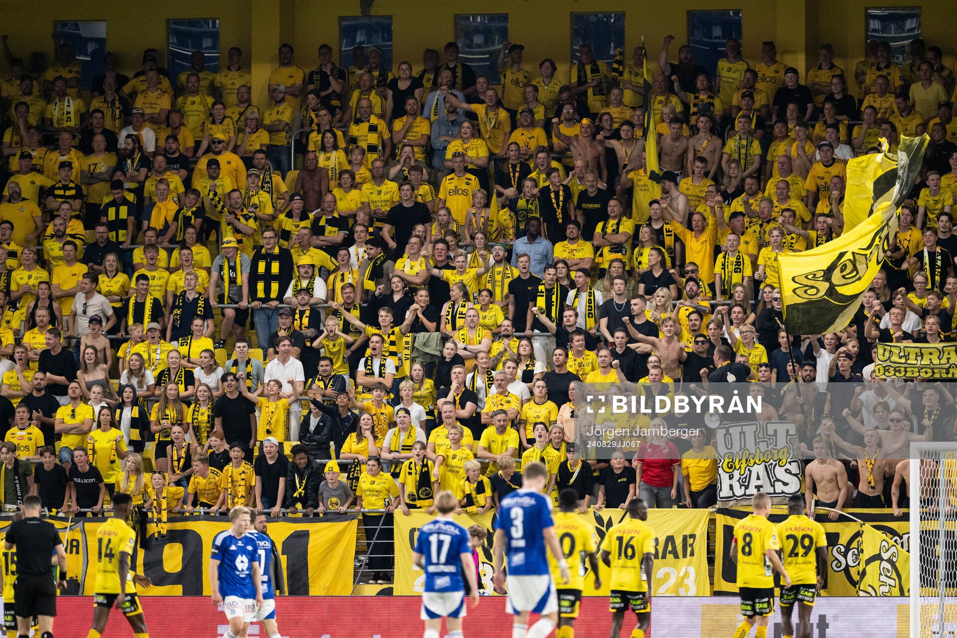 Spectators in the stands