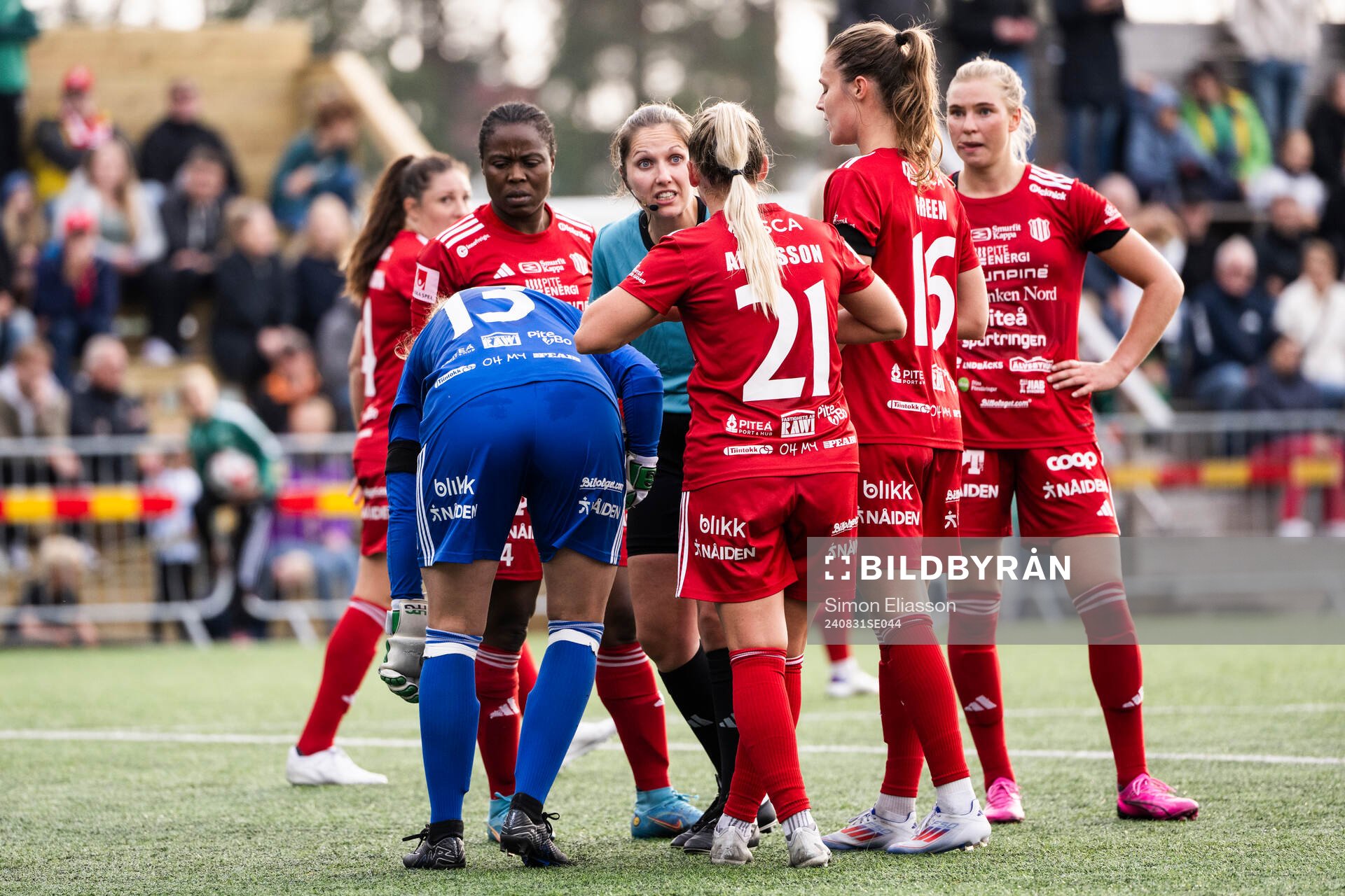 Domare Ulrica Löv