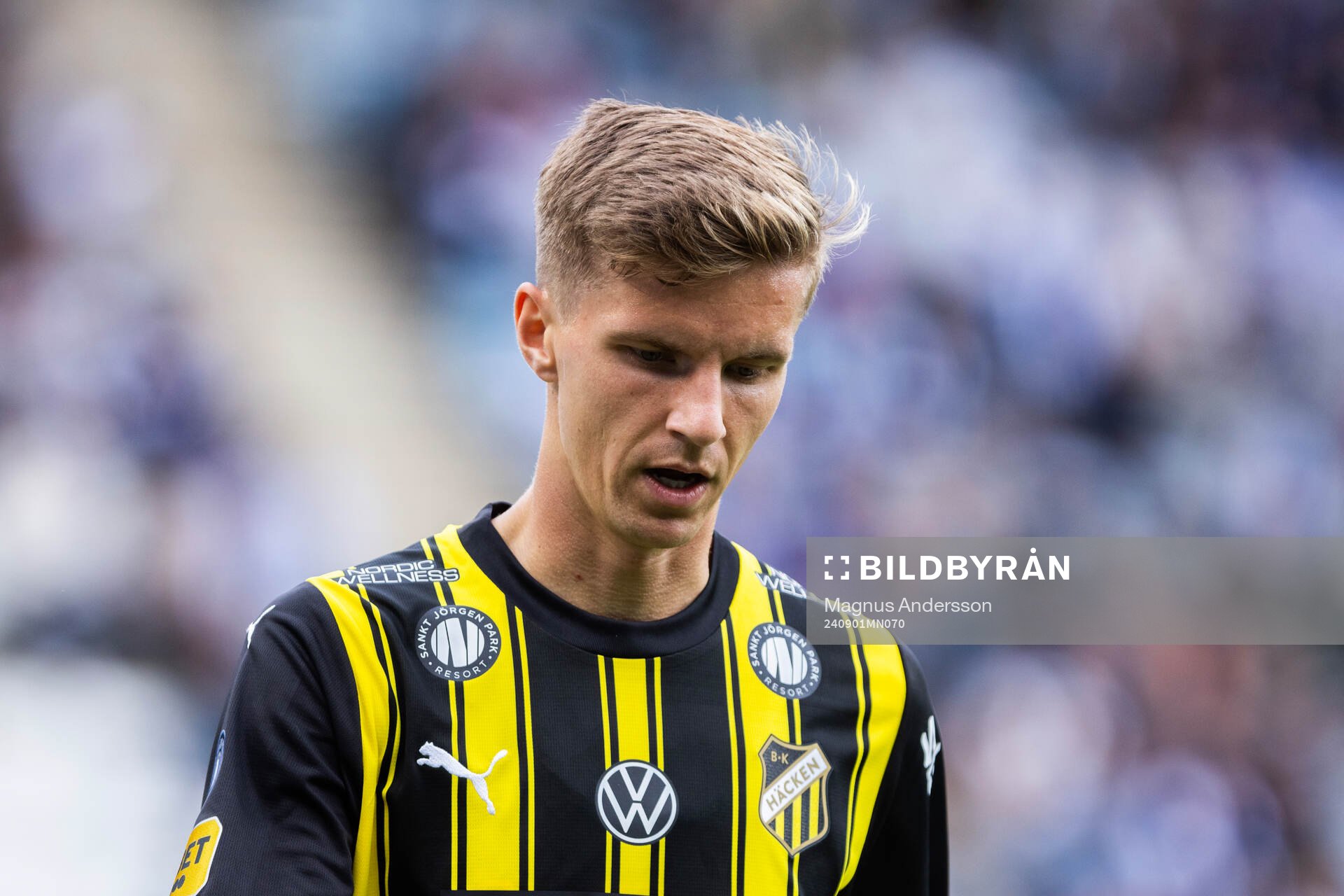 Häckens Samuel Leach Holm
