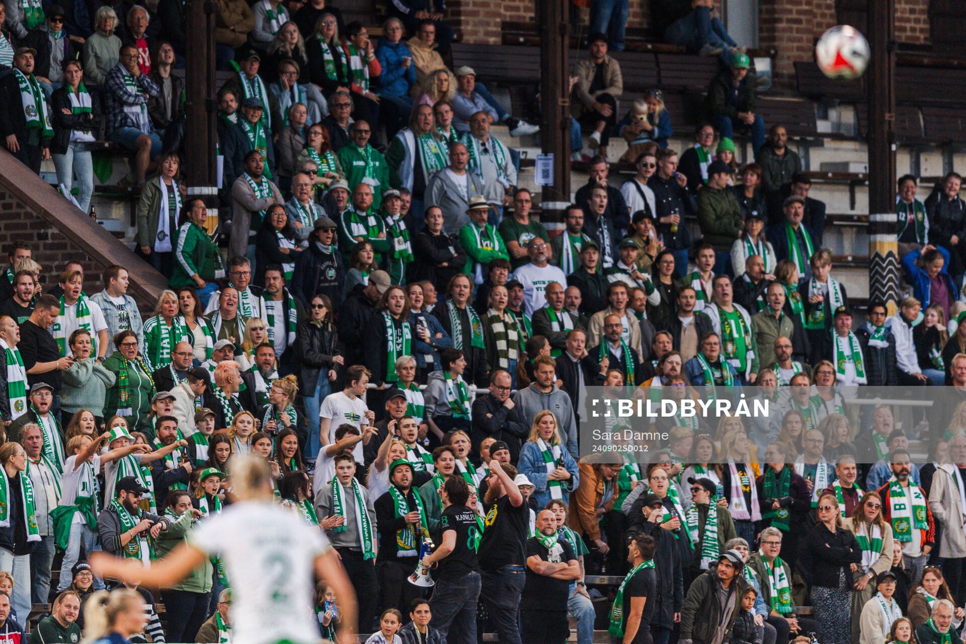 Hammarbys supportrar