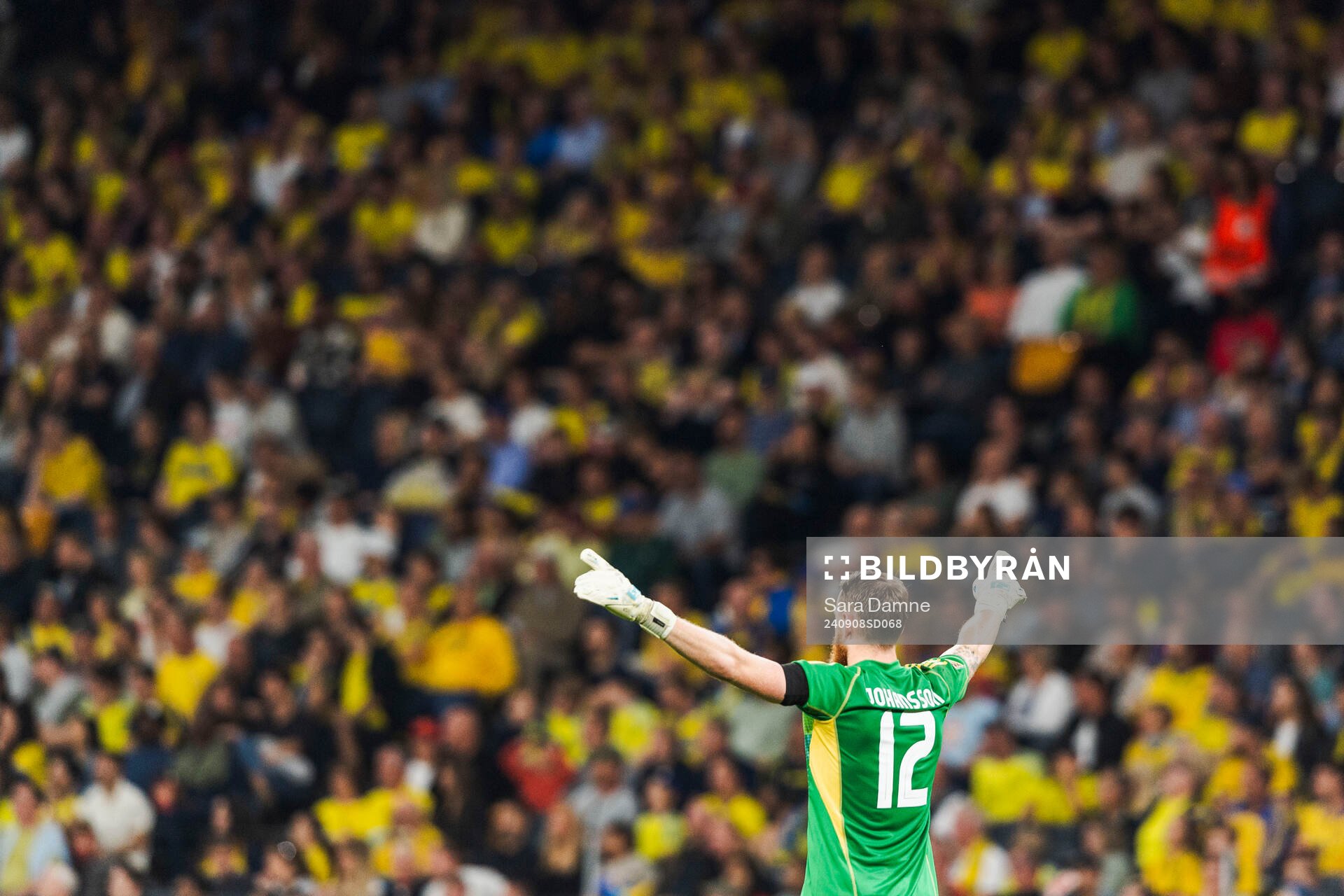 Goalkeeper Viktor Johansson of Sweden