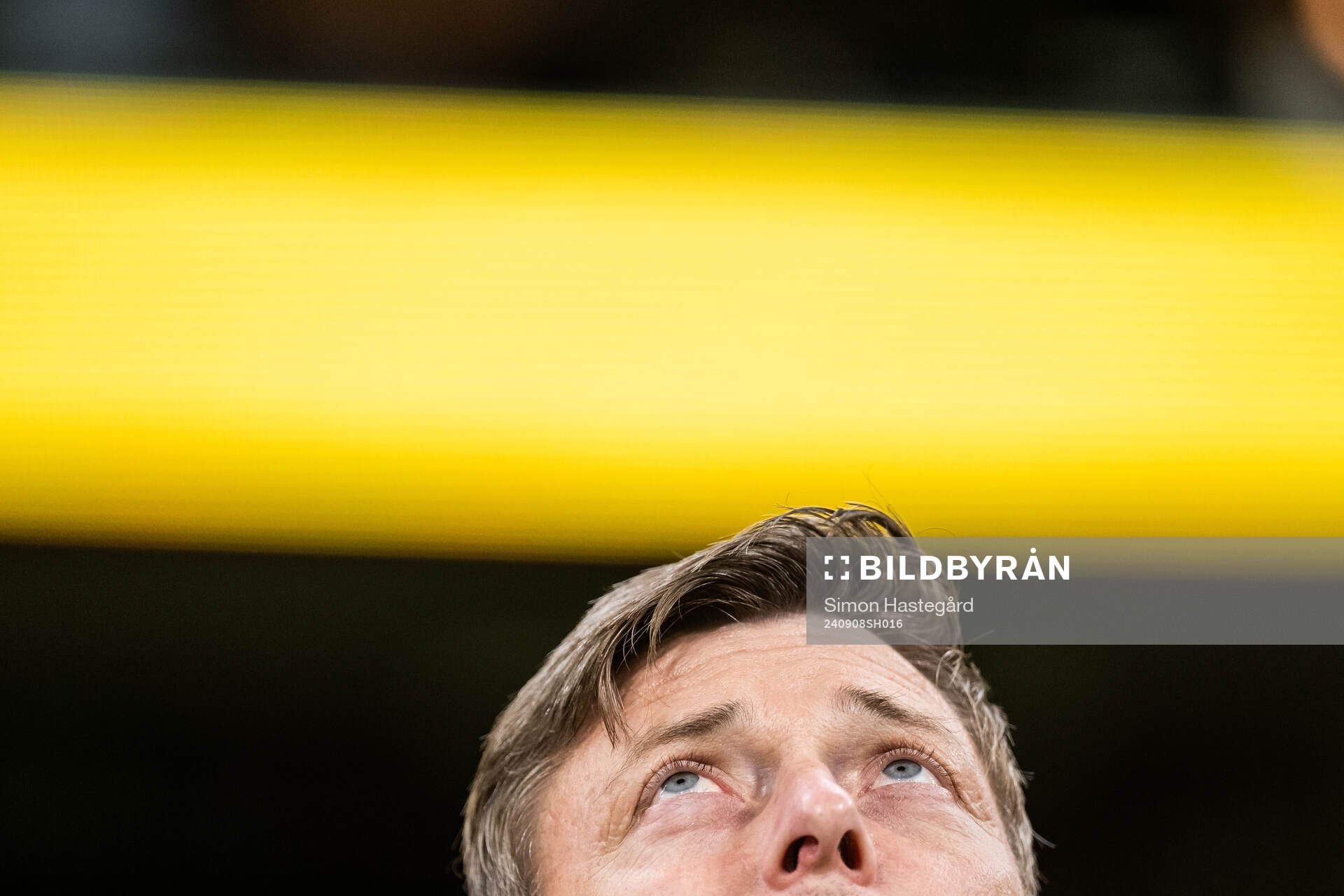 Head coach Jon Dahl Tomasson of Sweden