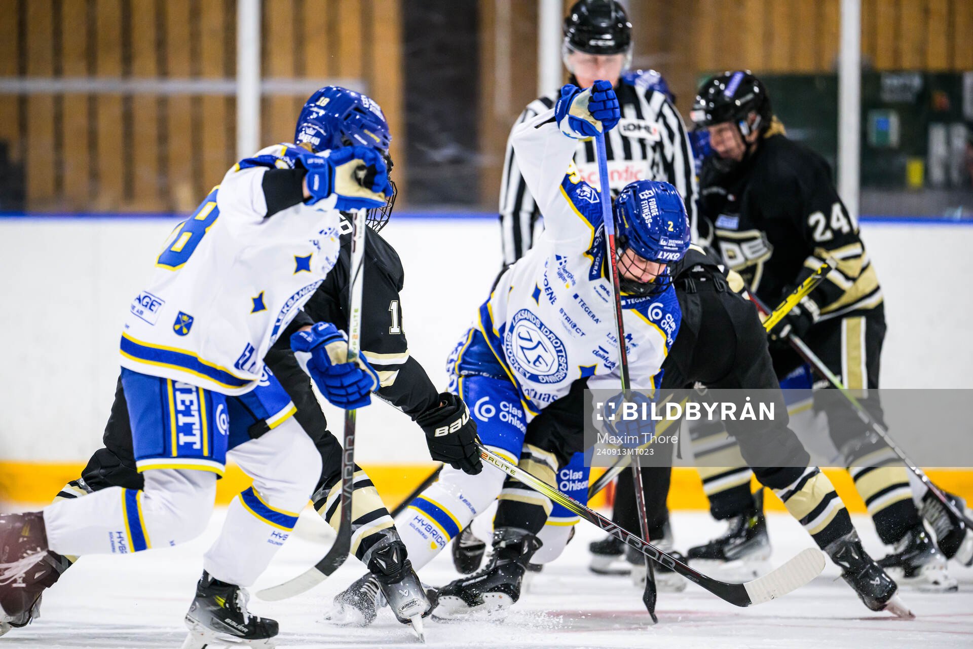 Leksands Taylor Leech