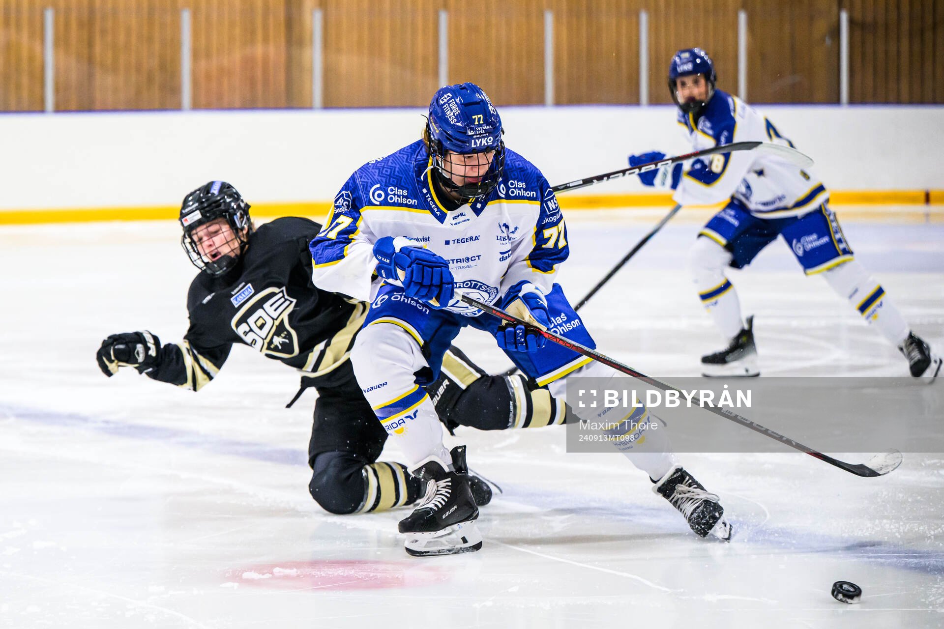 Leksands Tereza Radova