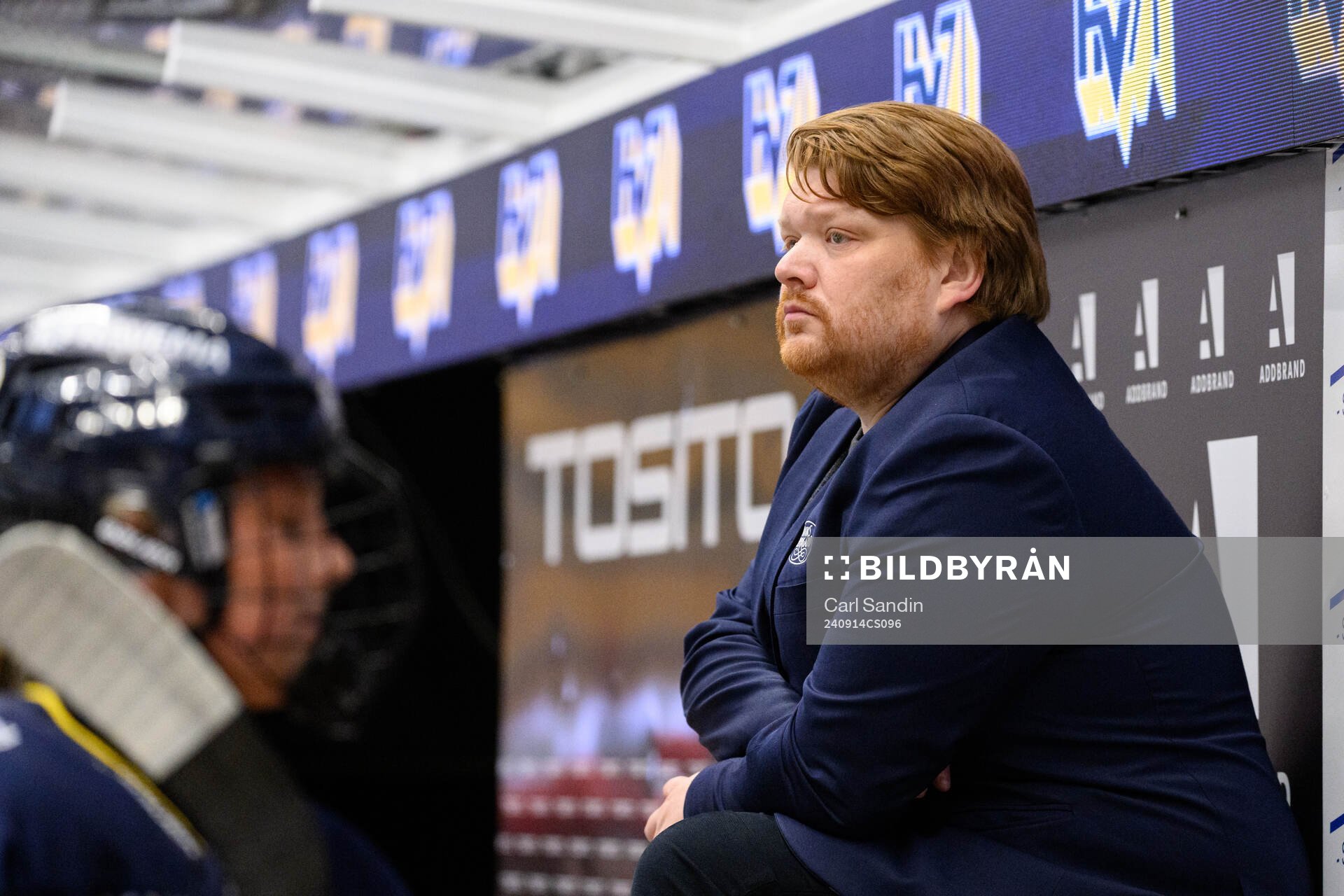 HV71s tränare Thomas Pettersen