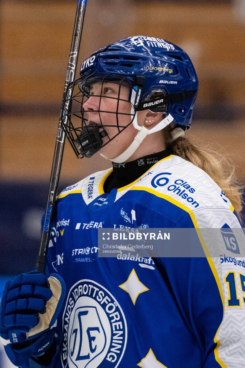 Leksands Ida Press