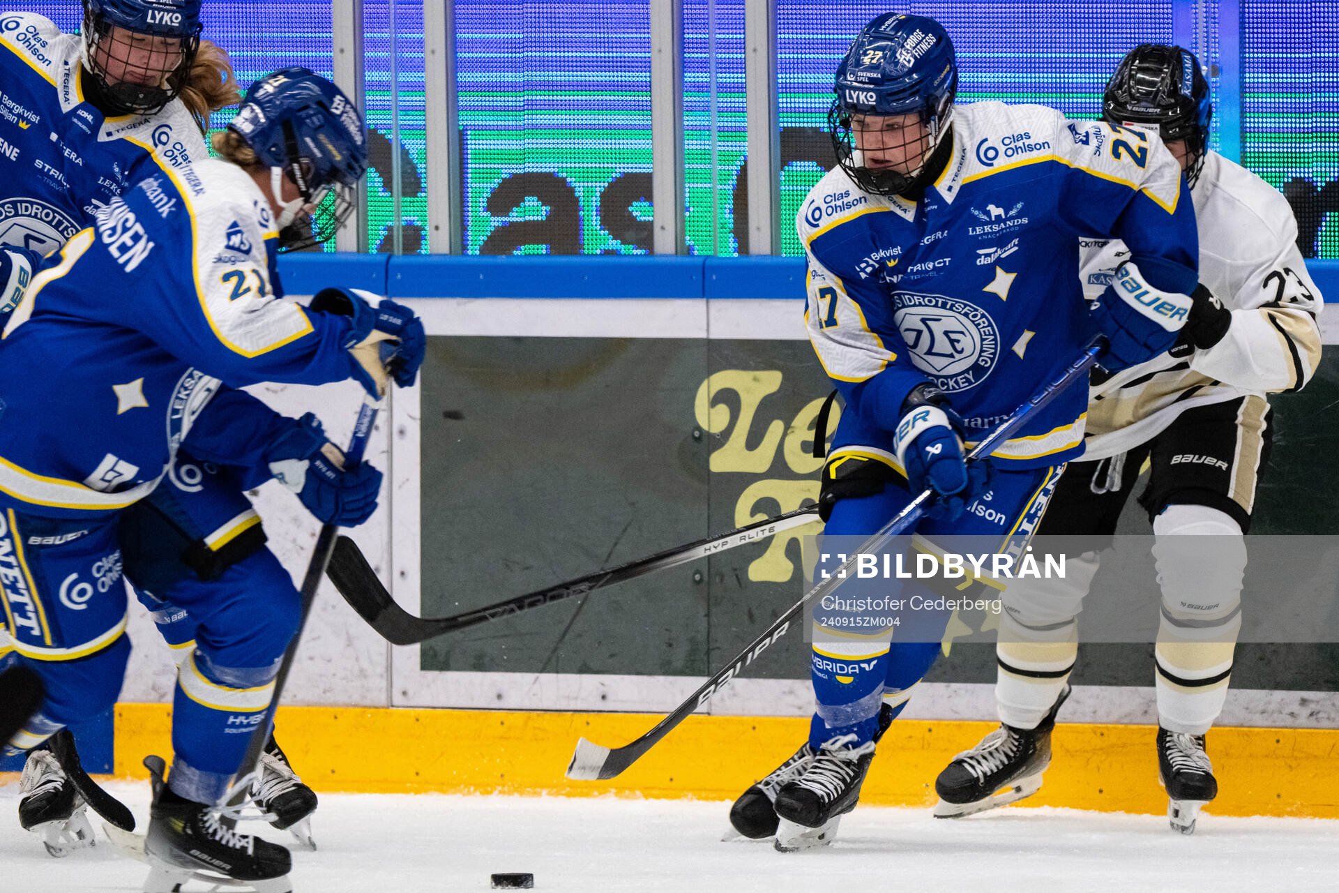 Leksands Shay Maloney